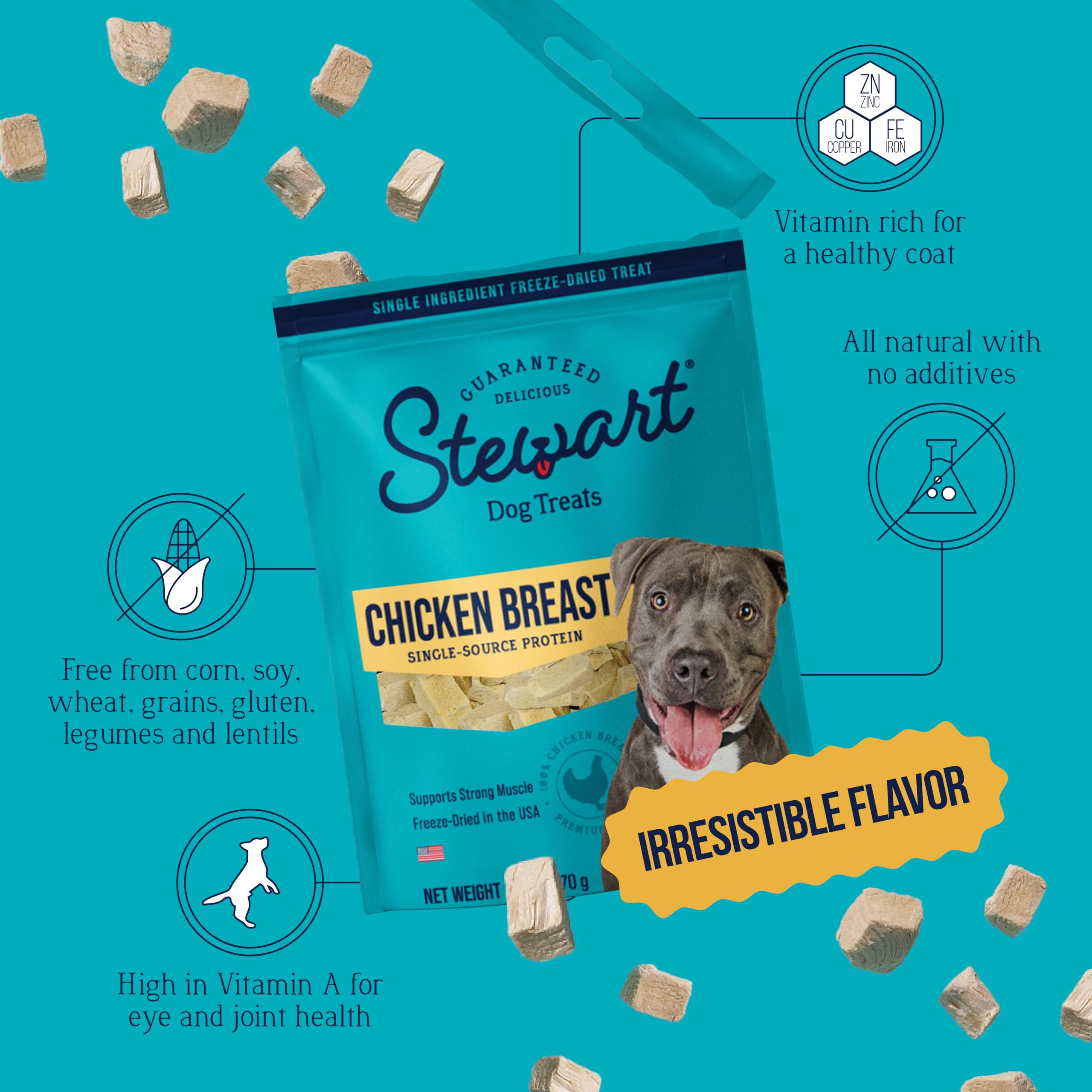 Stewart Single Ingredient Freeze Dried Raw Dog Treats, Chicken Breast, 2.5 Ounce, Approx. 45 Pieces per Resealable Pouch, Traini