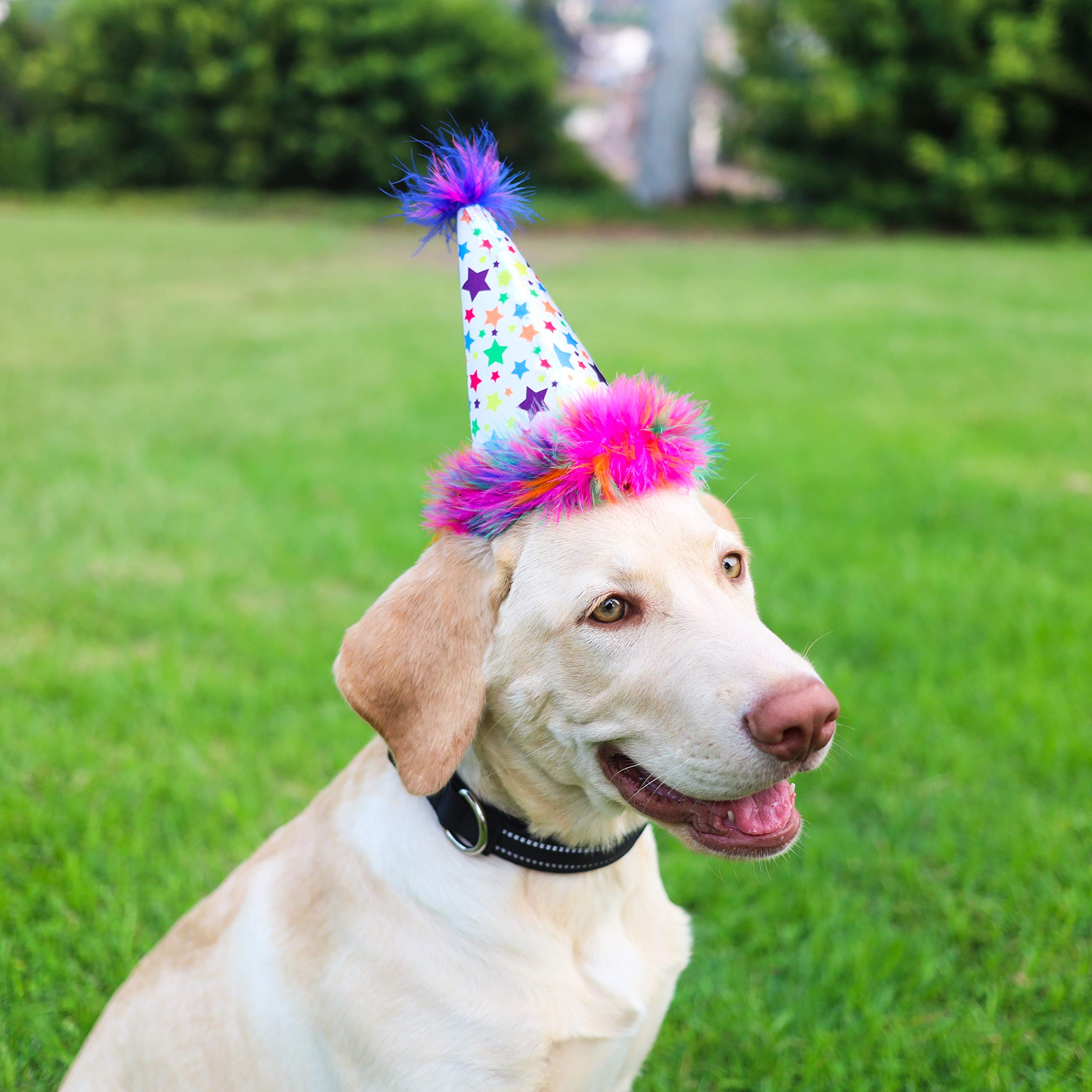 Huxley & Kent Pet Party Hat - Adjustable Large Faux Fur Birthday Hat for Dogs & Cats - Superstar Model HK55011