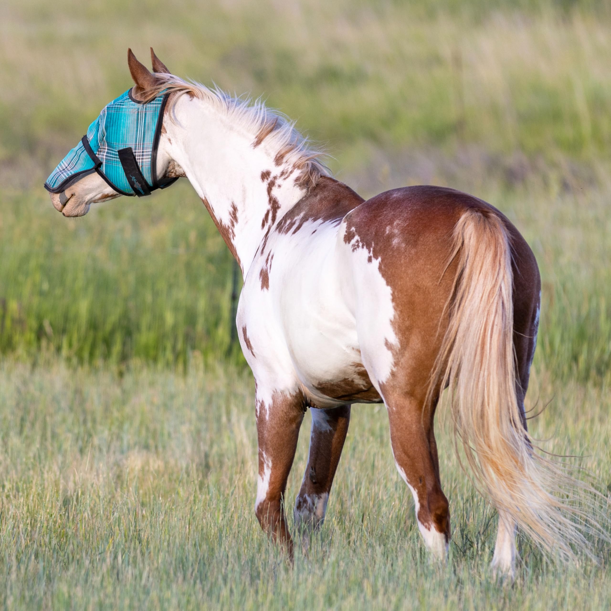 Kensington Fly Mask w/Web & Nose Size: L-Avg Color: 2021-Atlantis
