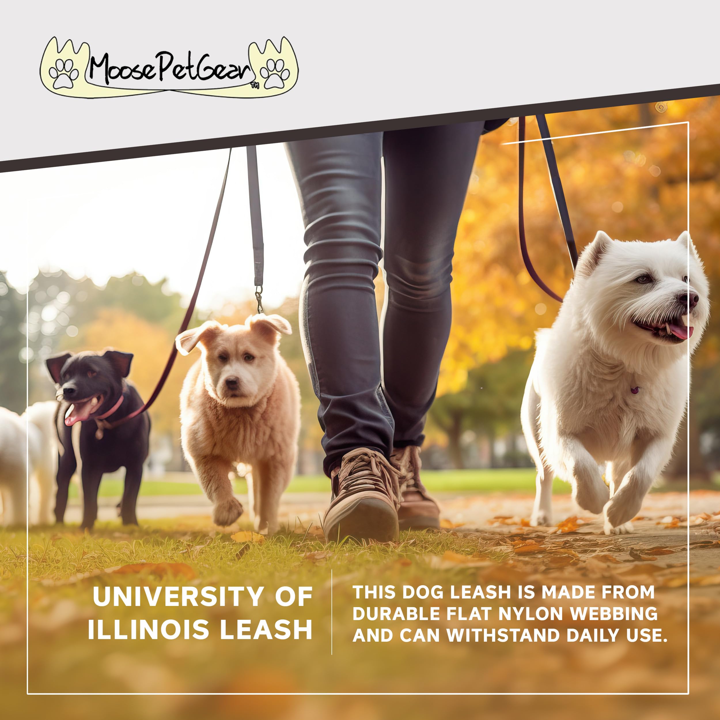 Moose Pet Wear Dog Leash – University Of Illinois Fighting Illini Pet Leash, 1 Inch Wide X 6 Feet Long, Argyle