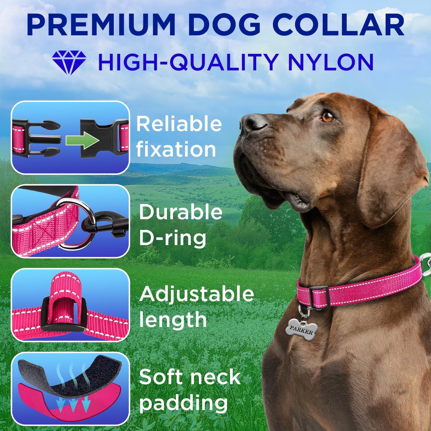 Teceum Reflective Pet Collar - Hot Pink - S - Extra Soft Padding - Basic Nylon Dog Collar - Quick Release Buckle - Fits Small, M