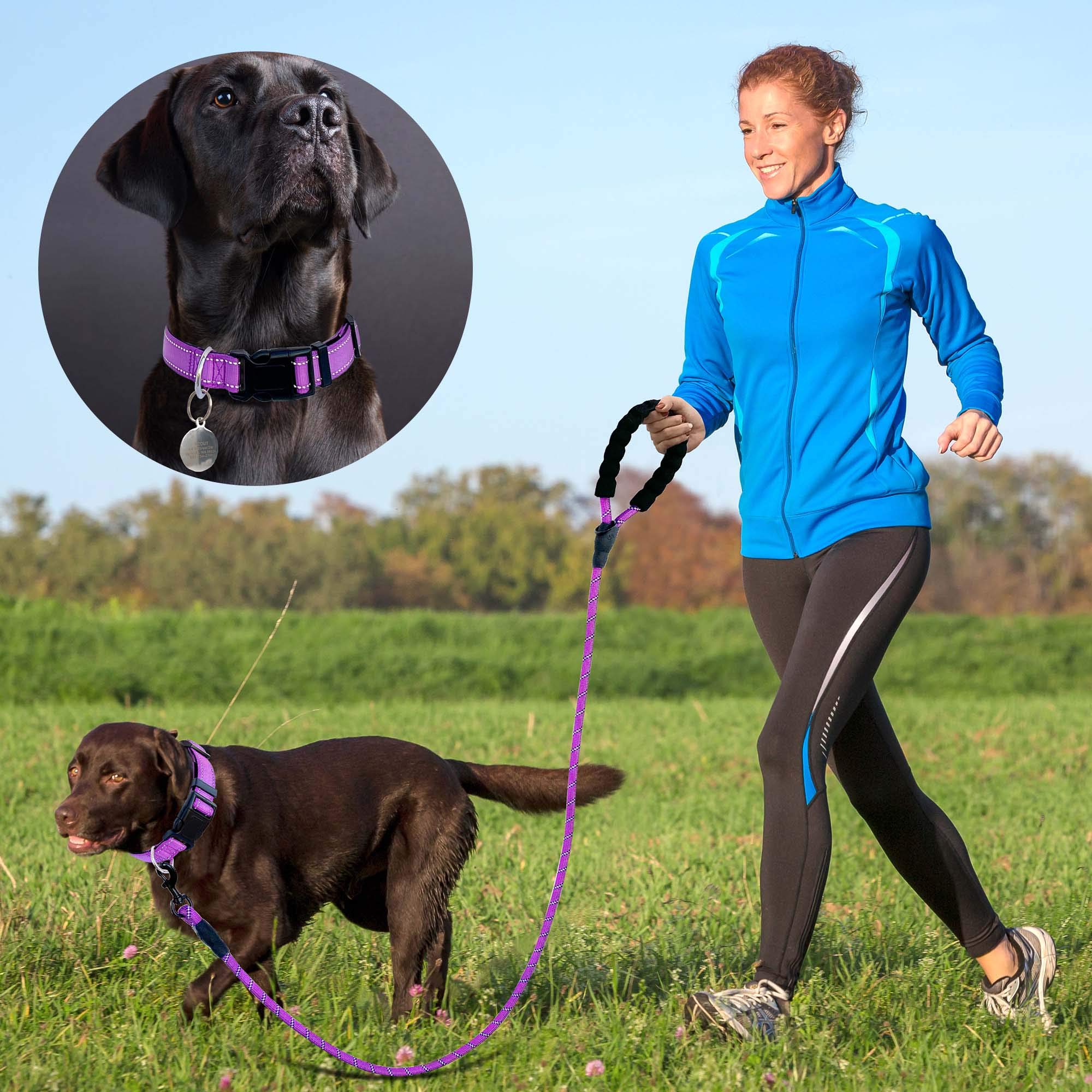 Ladoogo Reflective Dog Collar Padded With Soft Neoprene Breathable Adjustable Nylon Dog Collars For Small Medium Large Dogs (X-Small (Pack Of 1), Purple Collar+Leash)