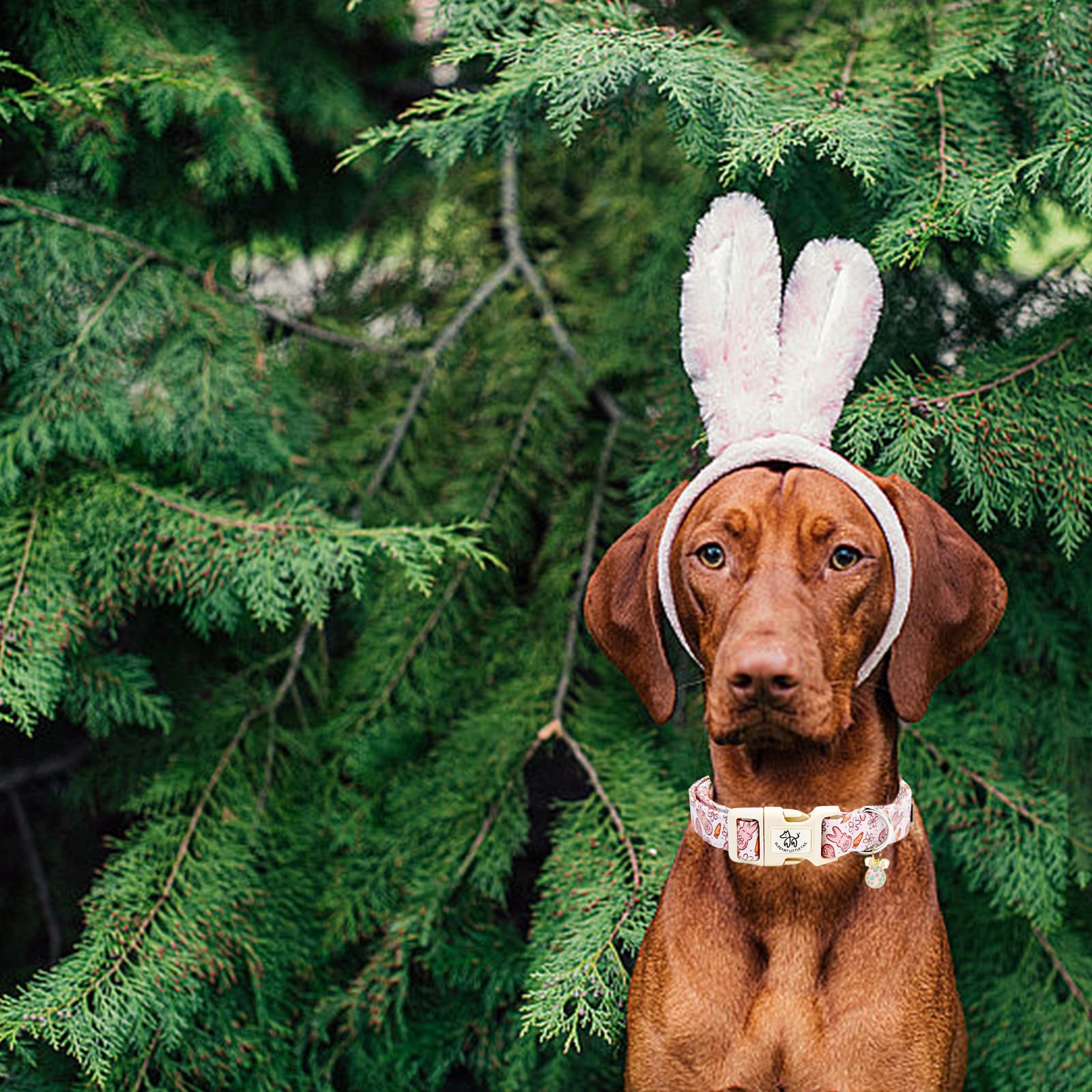 Elegant Little Tail Easter Dog Collar,Bunny Pattern Pet Collar Pink Durable Holiday Female Or Male Adjustable Cotton Pet Collar