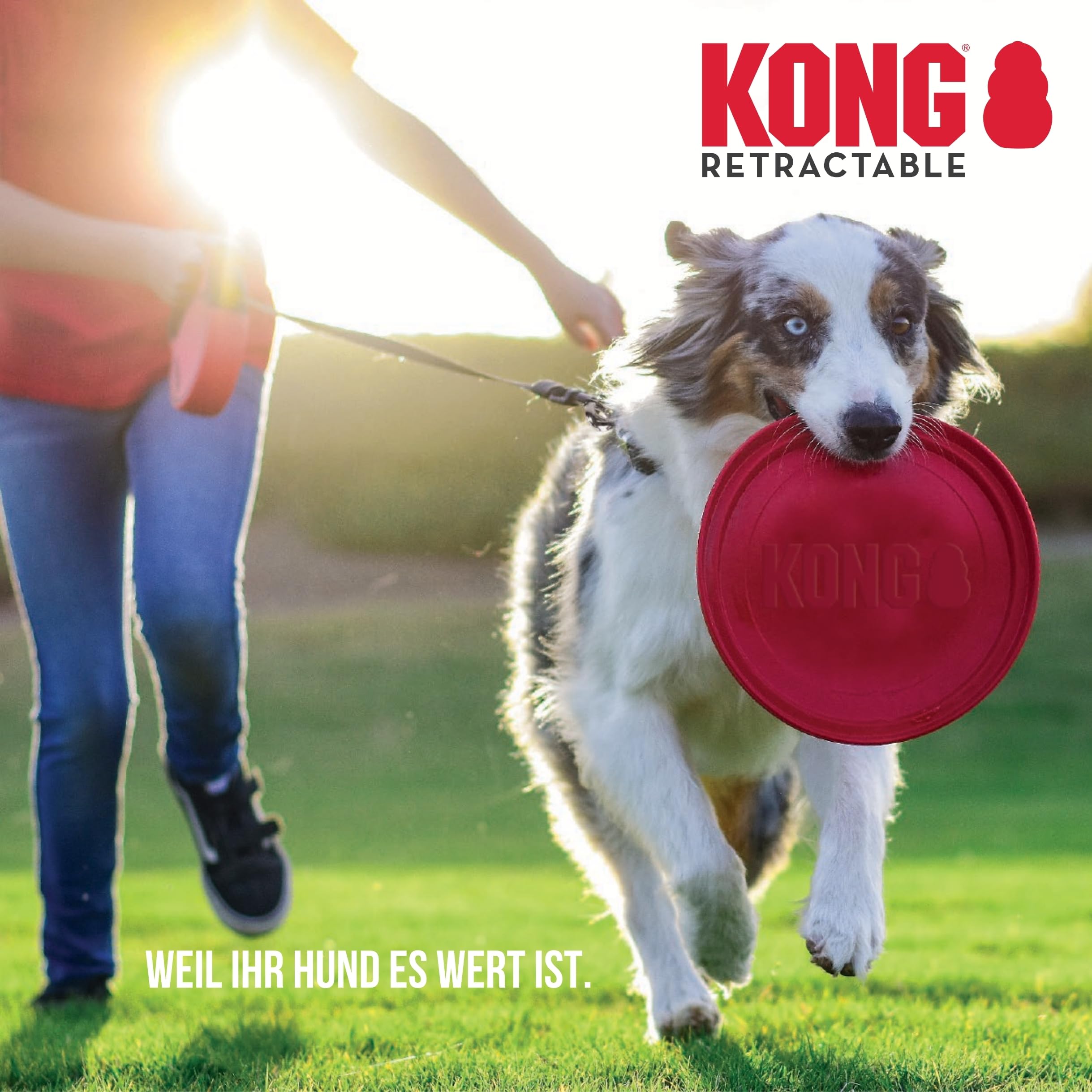 Alcott KONG Terrain Retractable Dog Leash, Medium, Grey, 16' Long.