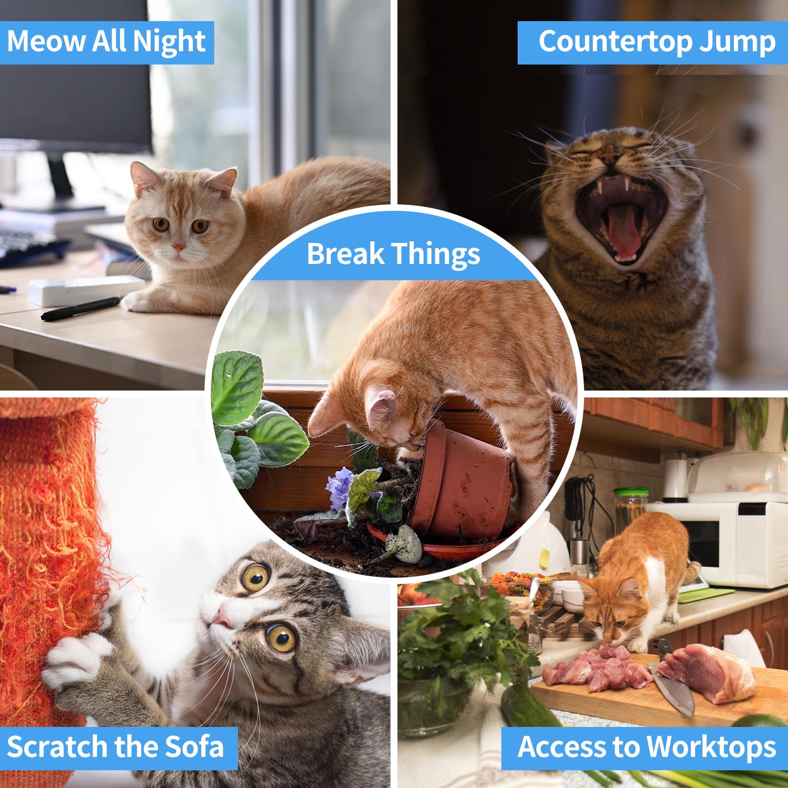 Paipaitek Cat Shock Collar With Remote, Cat Training Collar With Auto Anti-Meow, Beep, Vibration, Safety Shock 4 Modes For Bad B
