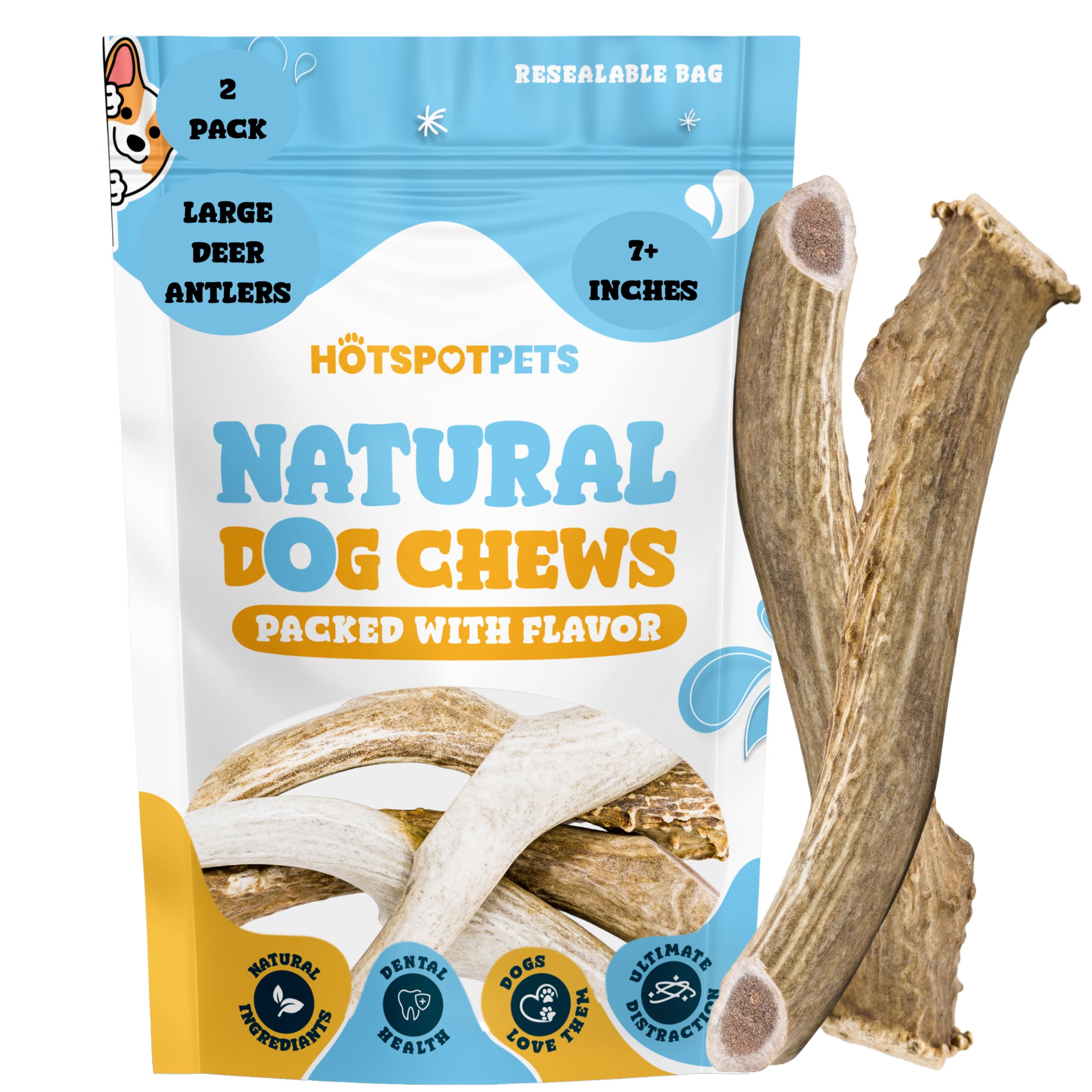 hotspot pets Premium Deer Antlers for Dogs - 7+ Inch Large Antler Dog Chews (2 Pack) Made in USA - Naturally Shed Antler Bone fo