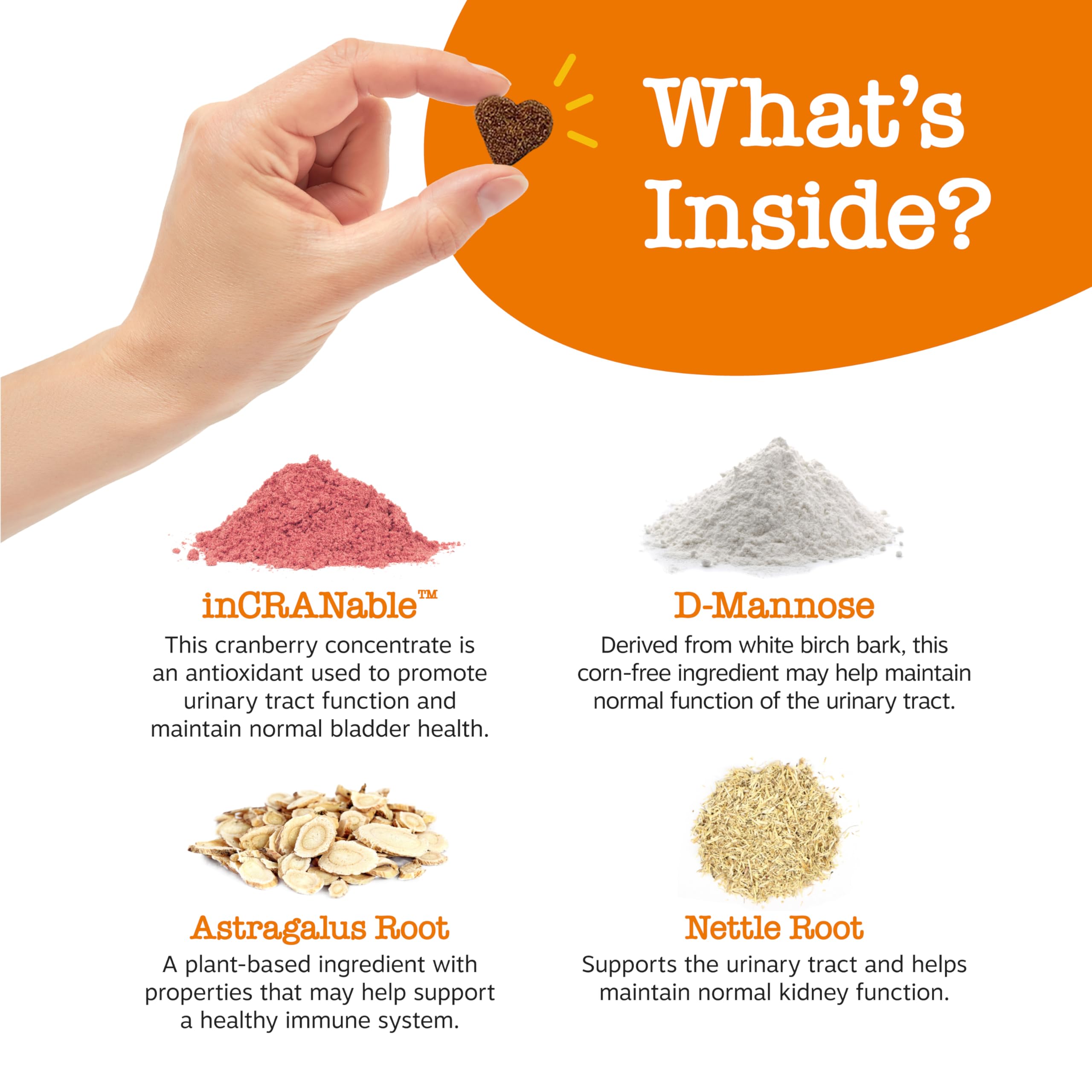 Zesty Paws Cranberry Supplement for Dogs - Bladder Control for Dogs - Urinary Tract Support - Cranberry Chews - Immune & Gut Sup