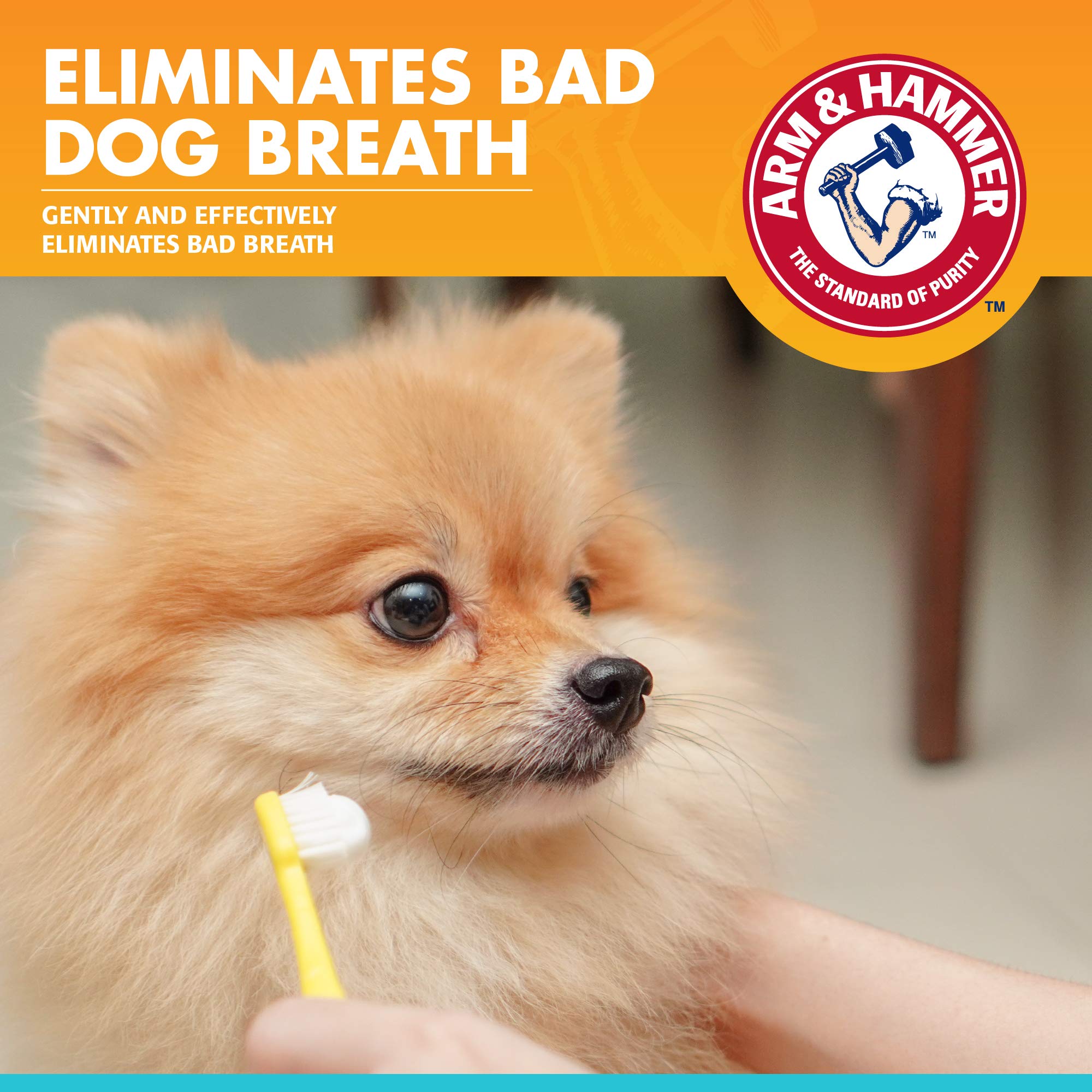 Arm & Hammer for Pets Clinical Care Dental Enzymatic Toothpaste for Dogs Soothes Inflamed Gums Safe for Puppies 1 Pack Fresh Bre