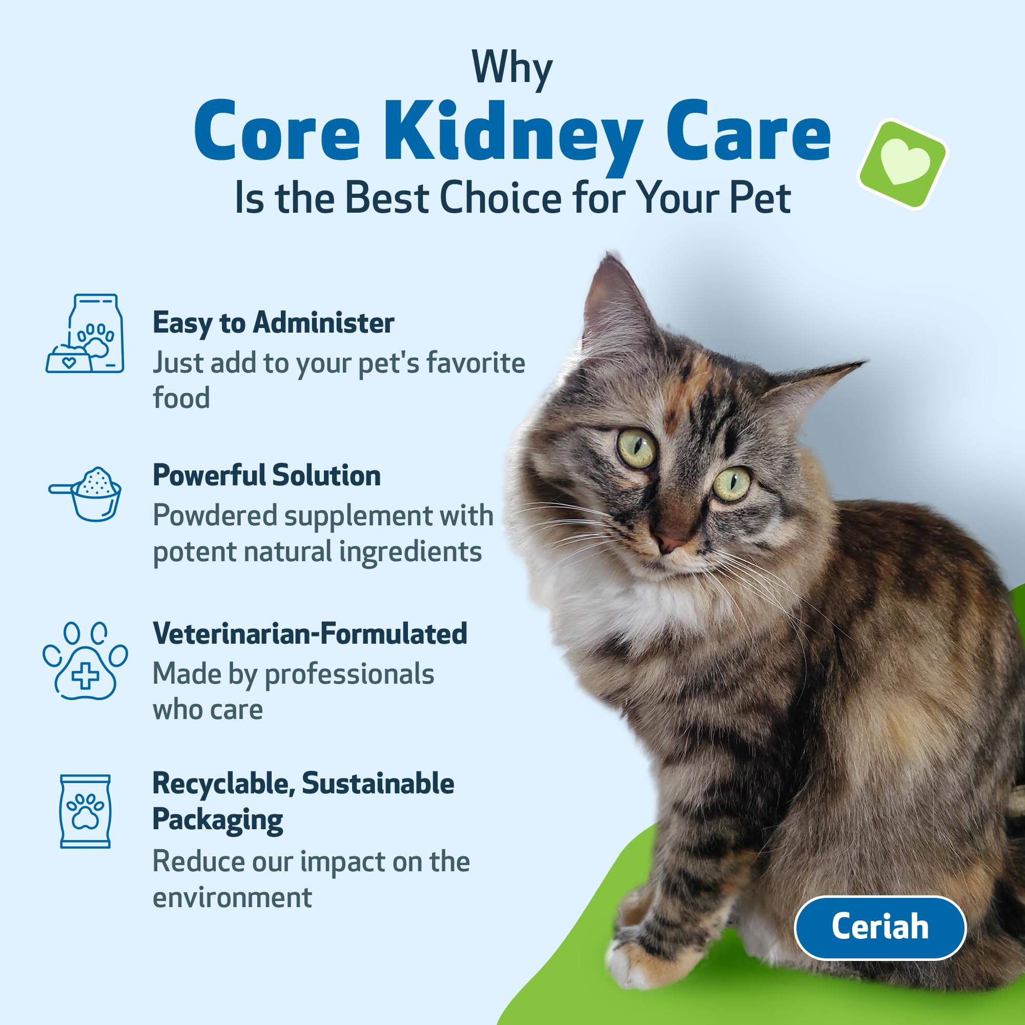 Pet Wellbeing Core Kidney Care for Cats & Dogs - Daily Phosphate Binder with FOS, Chitosan, Probiotics, Reishi - Vet-Formulated