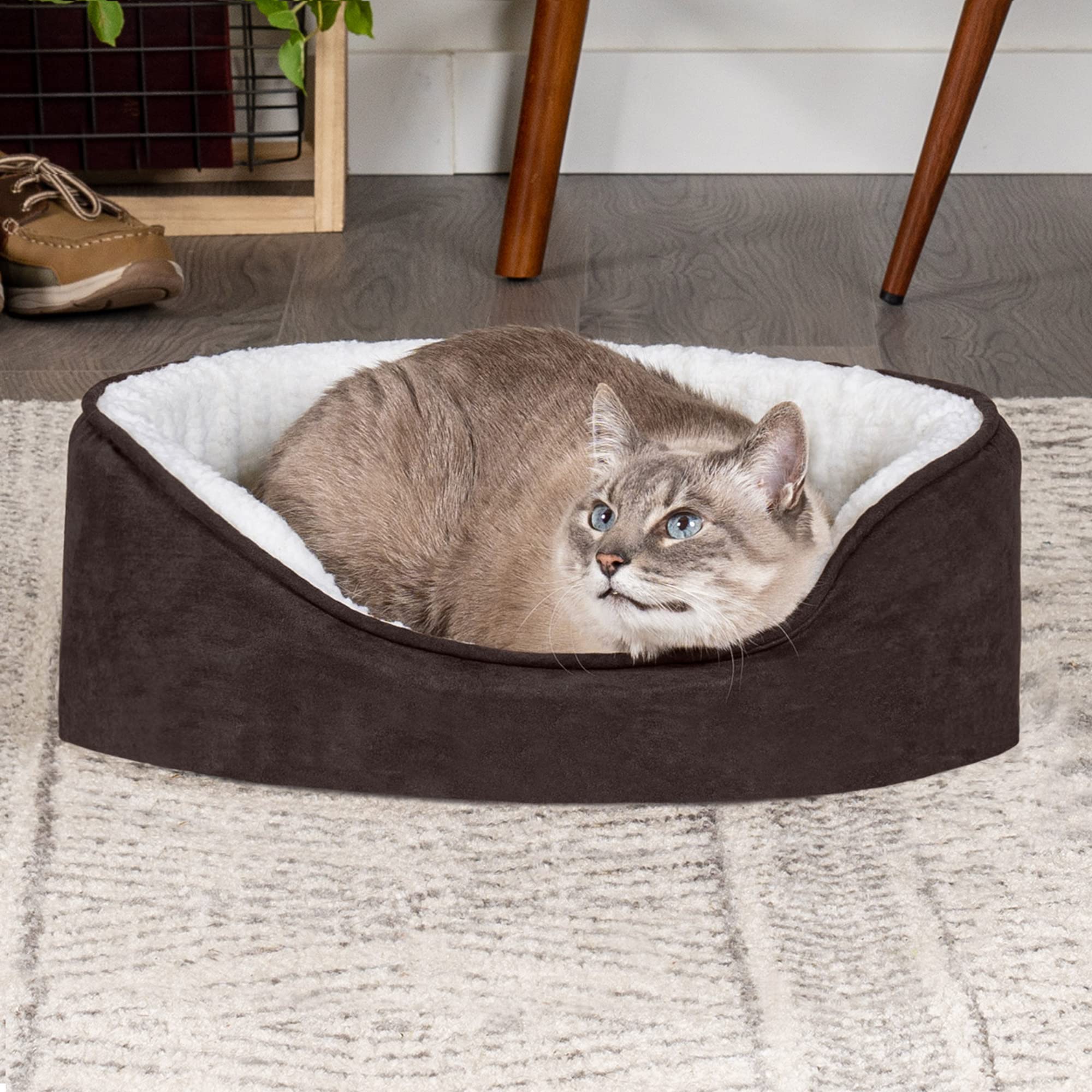 Furhaven Orthopedic Dog Bed for Small Dogs w/ Removable Washable Cover, For Dogs Up to 12 lbs - Sherpa & Suede Oval Lounger - Es