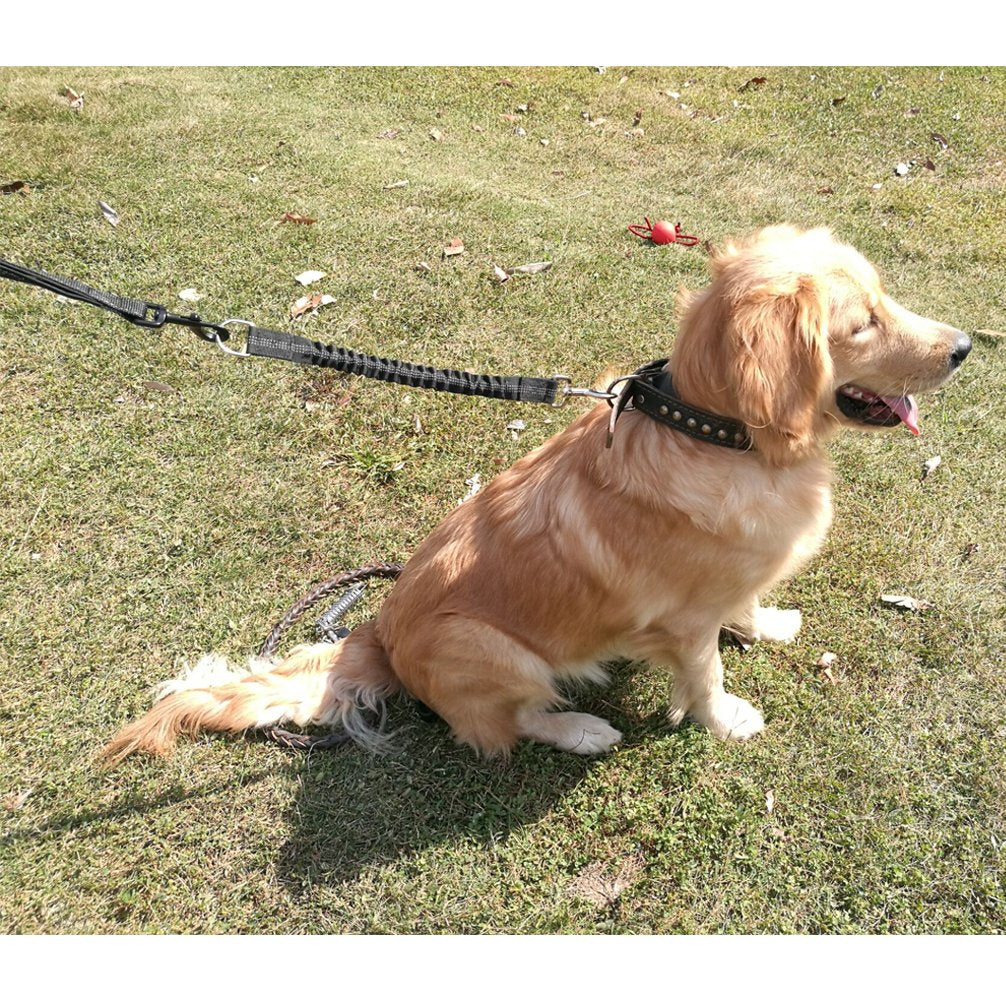 Yangbaga Dog Leash Extender - Bungee Attachment, Nylon, 17''-23'', Black, for Dogs 20-60lbs, Model 555