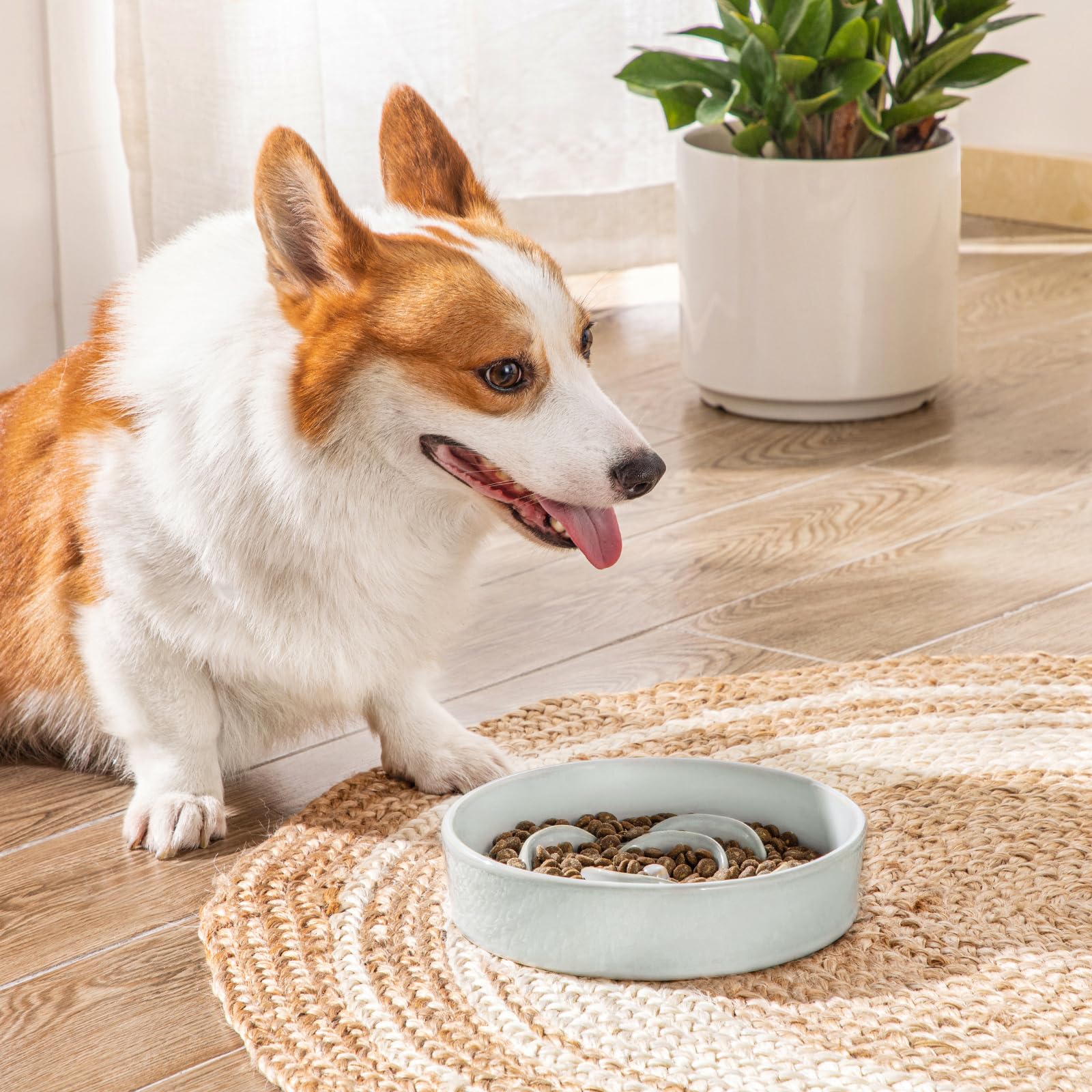 vancasso Slow Feeder Dog Bowl, 1.5 Cups Ceramic Dog Food Dish for Fast Eaters Small Breed, Puzzle Bowl for Small Dogs and Cats,