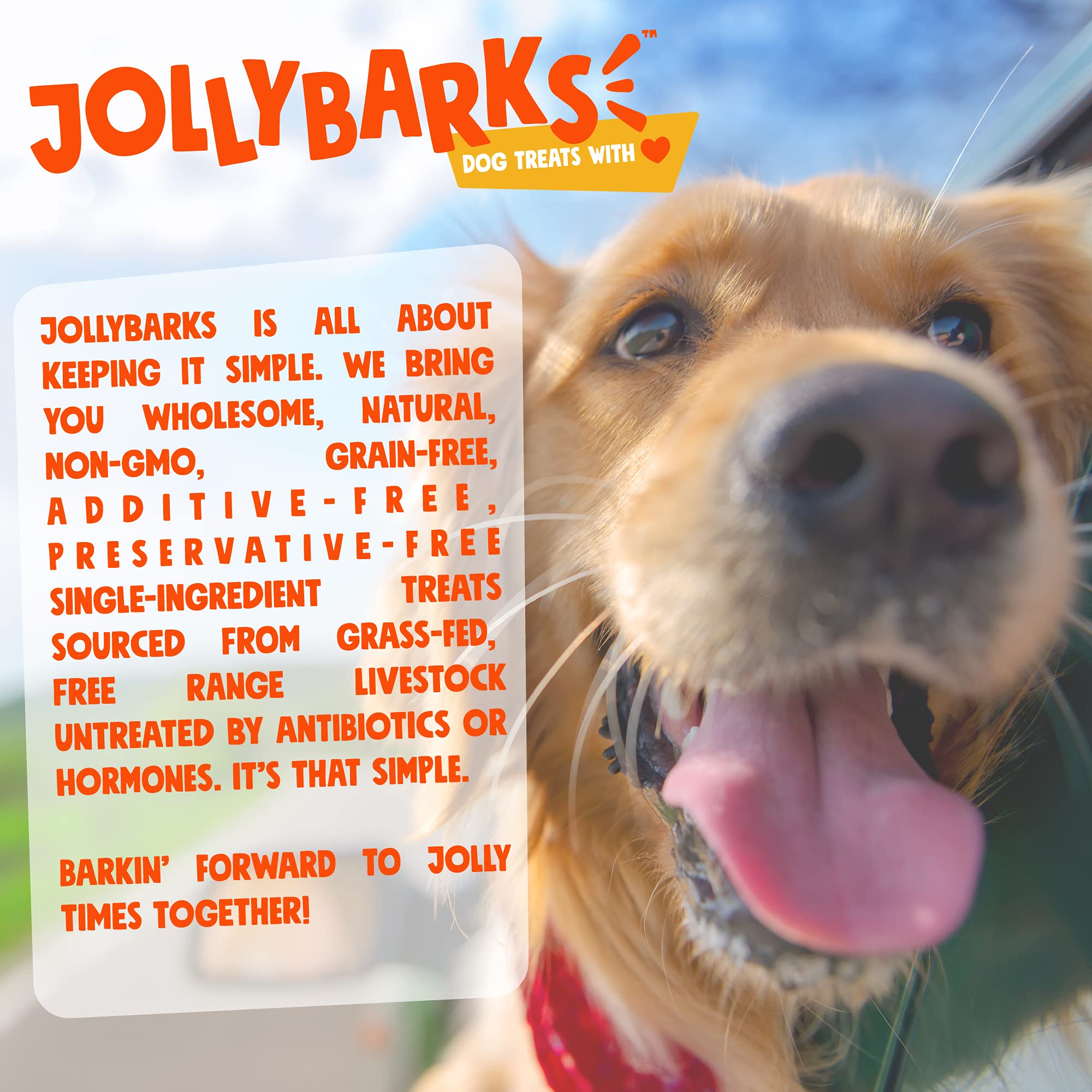 Jolly Barks 6 Baby Bully Sticks for Small Dogs  All Natural Single Ingredient Dog Treat  Beef Baby Bully Sticks for Puppies Teet
