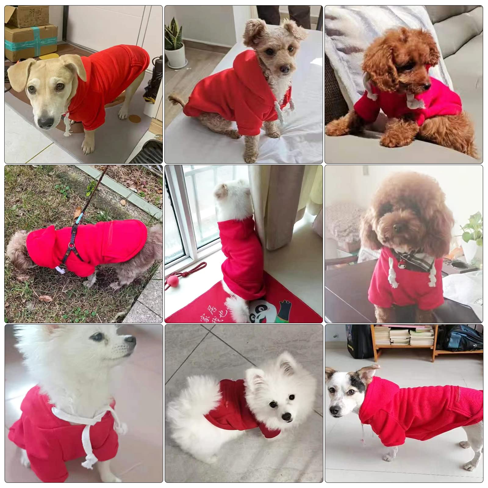 Petcare Red Winter Warm Dog Sweater - Soft Fleece Hooded Sweatshirt With Pocket - Small Dog Clothes For Chihuahua, Yorkies, Fren