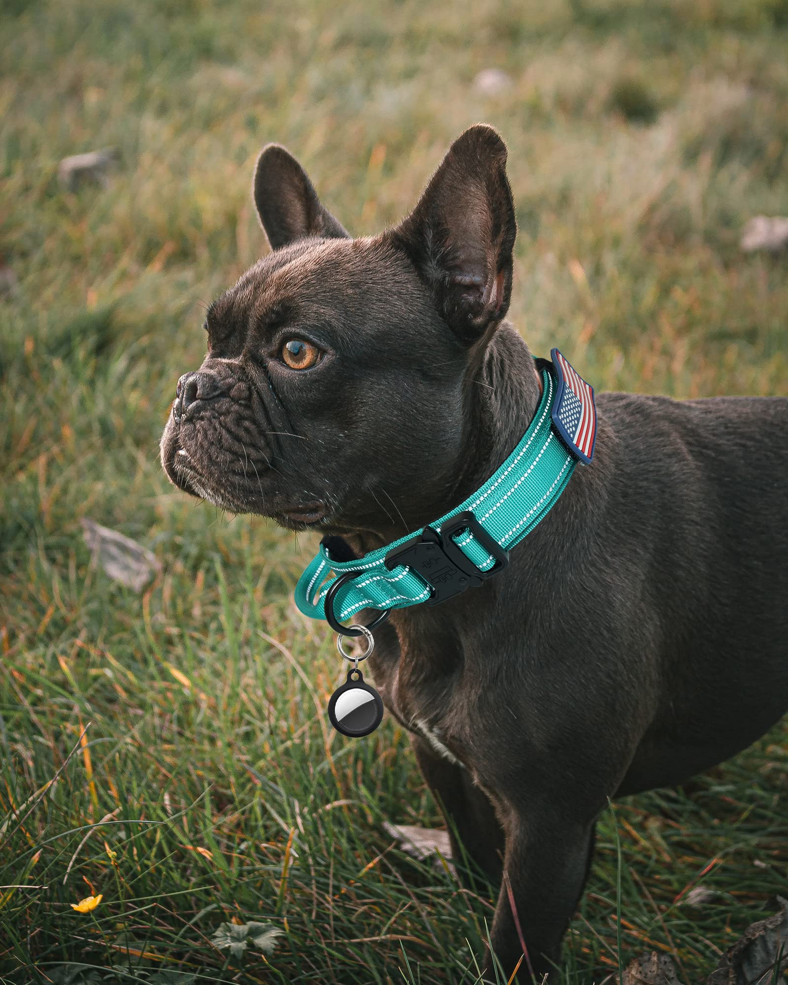 Aubell Tactical Dog Collar, Reflective Dog Collar For Extra-Large Dogs, Adjustable Nylon Dog Collar With Handle And Heavy Duty B