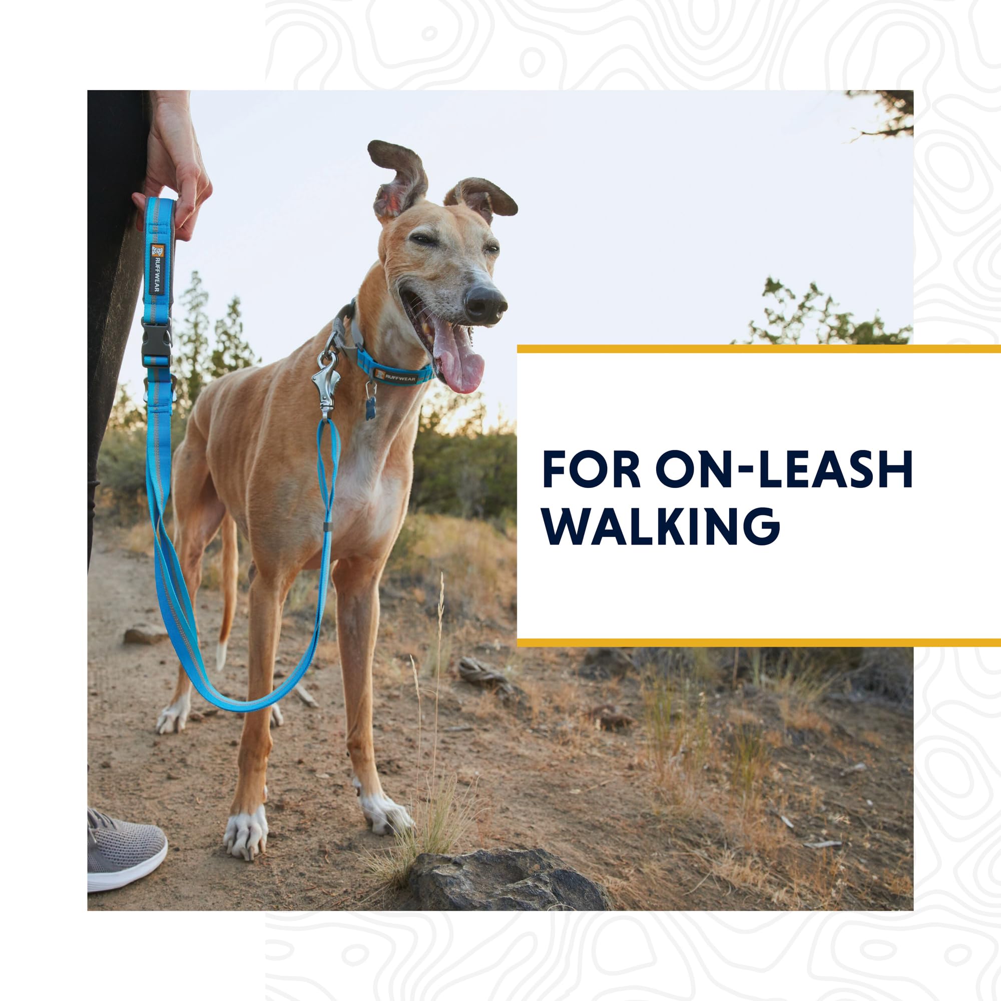 Ruffwear, Web Reaction Dog Collar, Martingale Collar For On-Leash Walking, Basalt Gray, 20''-23''