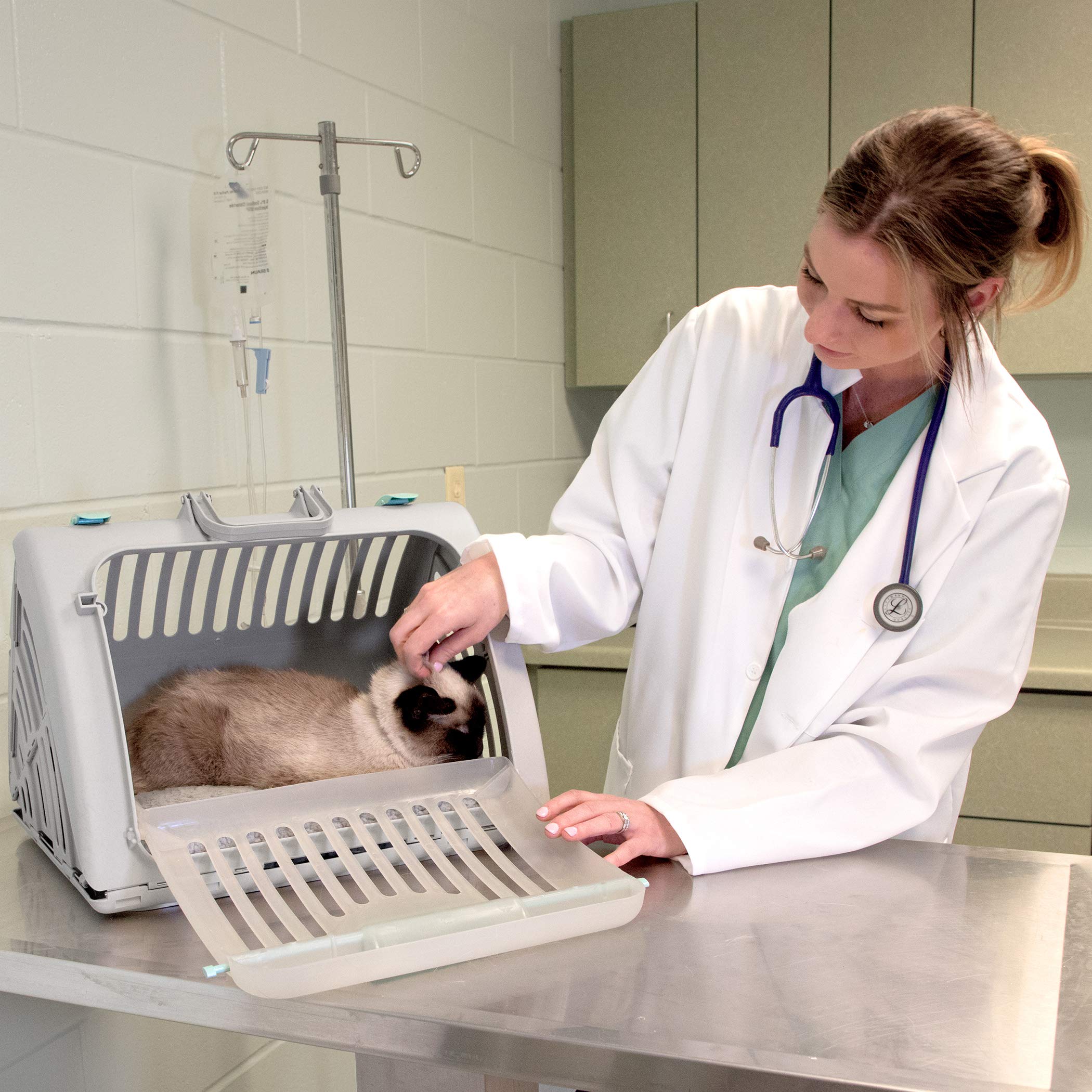 Sportpet Designs Sport Pet Foldable Travel Cat Carrier With A Waterproof Bed - Front Door Plastic Collapsible Carrier, Gray (Cm-