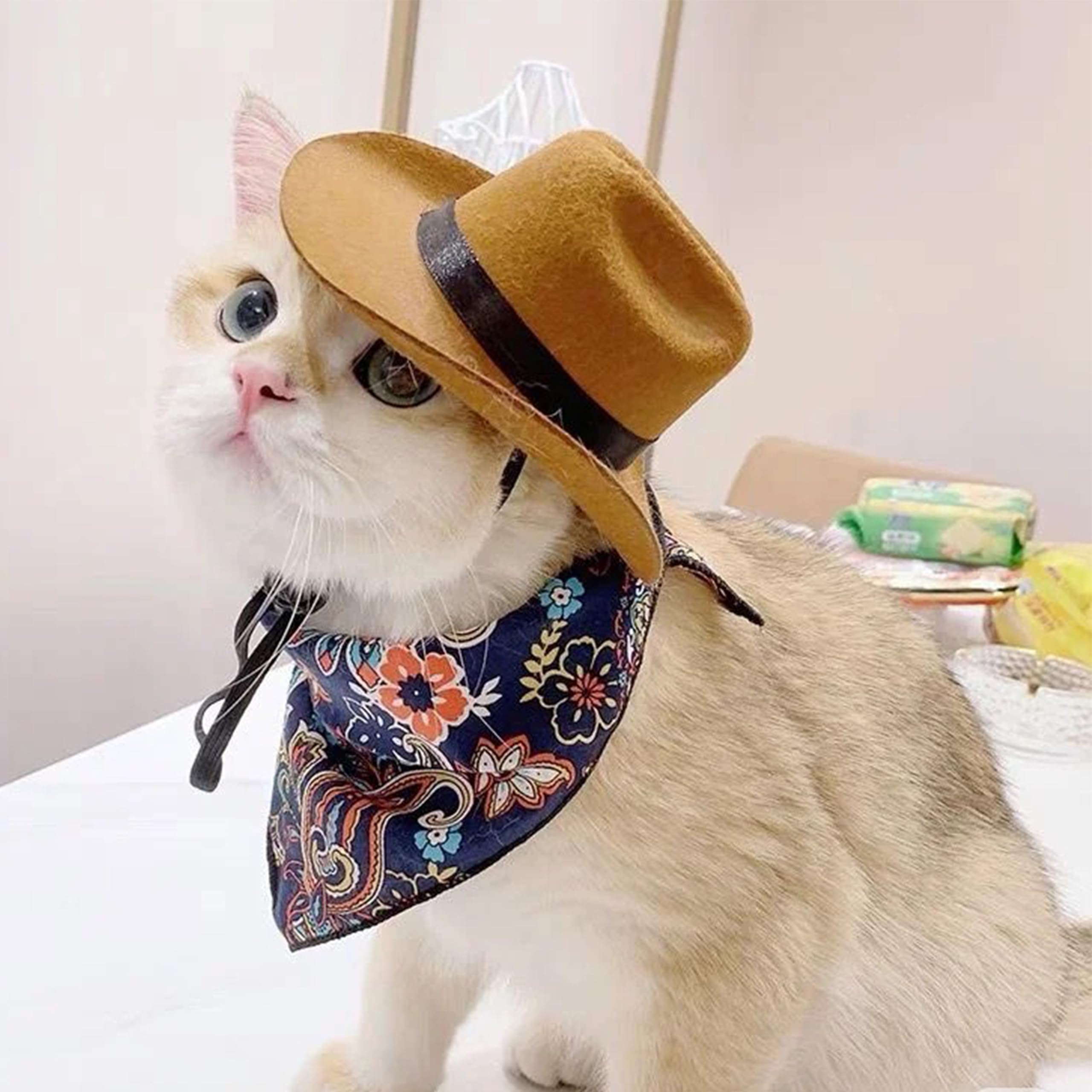 Saisi Pet Cowboy Dog Or Cat Costume, Dog Apparels & Accessories, Frenchie Dog Hat Costumes With Paisley Bandana Scarf For Puppy