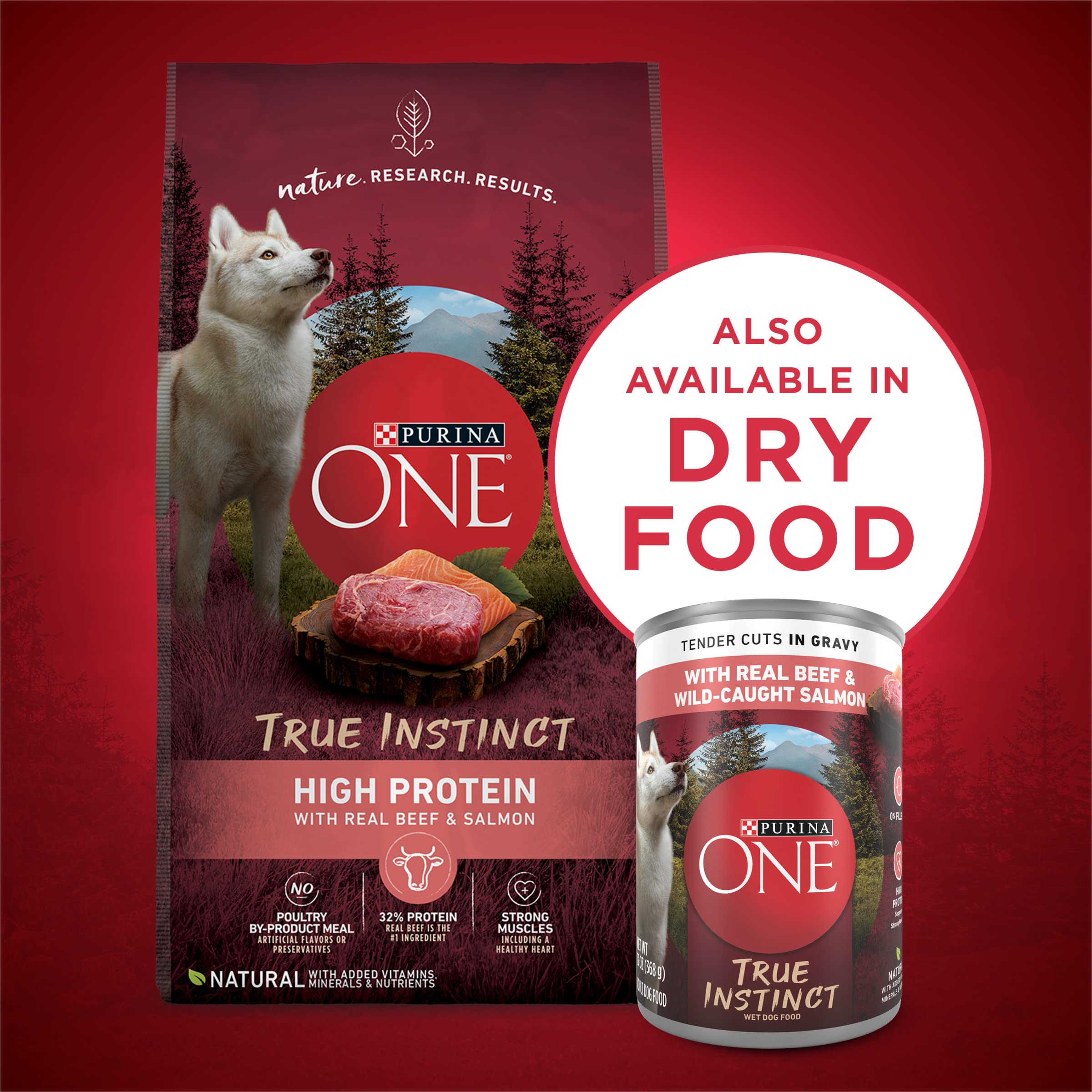 Purina ONE High Protein Wet Dog Food True Instinct Tender Cuts in Dog Food Gravy With Real Beef and Wild-Caught Salmon - (Pack o