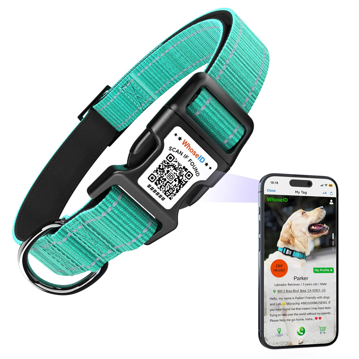 Dog Collar With Qr Code, Reflective Pet Collar, Soft Neoprene Padded & Safety Locking Buckle Adjustable Puppy Collar (Xs,Teal)
