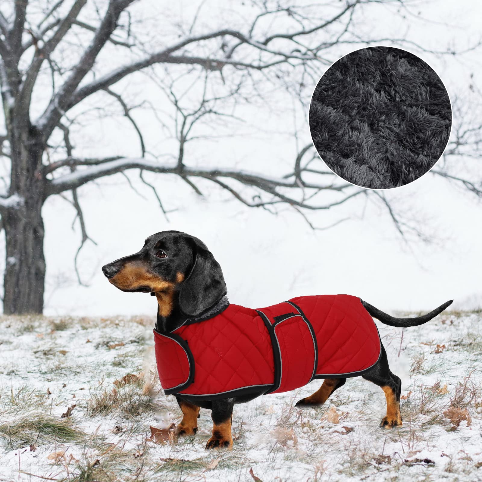 Warm Thermal Quilted Dachshund Coat, Dog Winter Coat With Warm Fleece Lining, Outdoor Dog Apparel With Adjustable Bands For Medium, Large Dog-Red-M