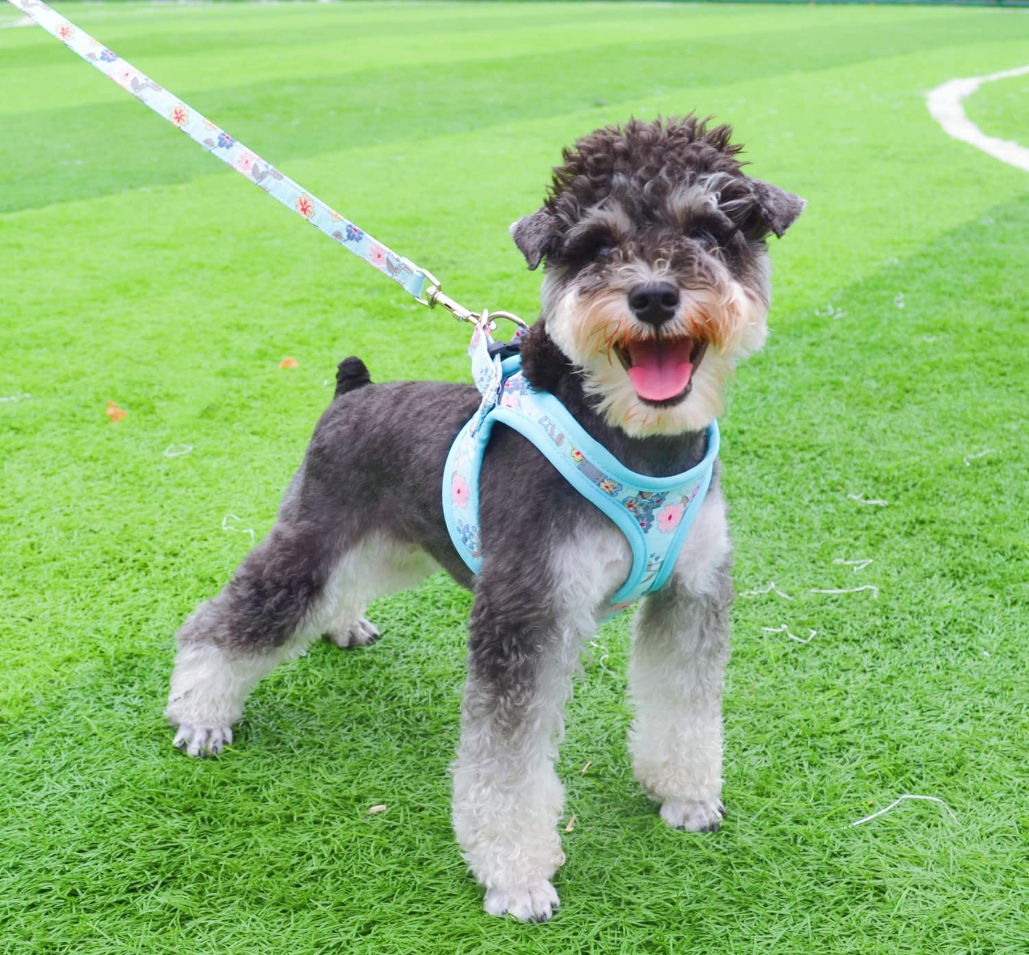 Moonpet Step In Dog Harness Leash Set- All Weather Reflective No-Pull Floral Pattern Padded Mesh Vest Harness For Cats Puppy Ext