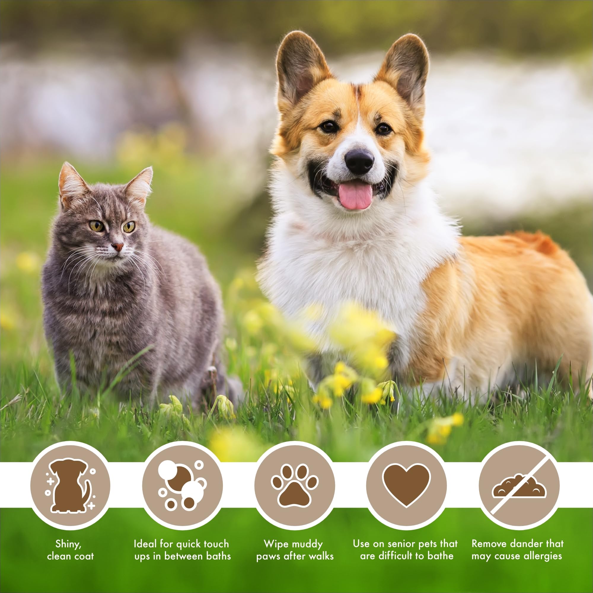 Petkin Oatmeal Petwipes Mega Valu-Pak 125 Ct