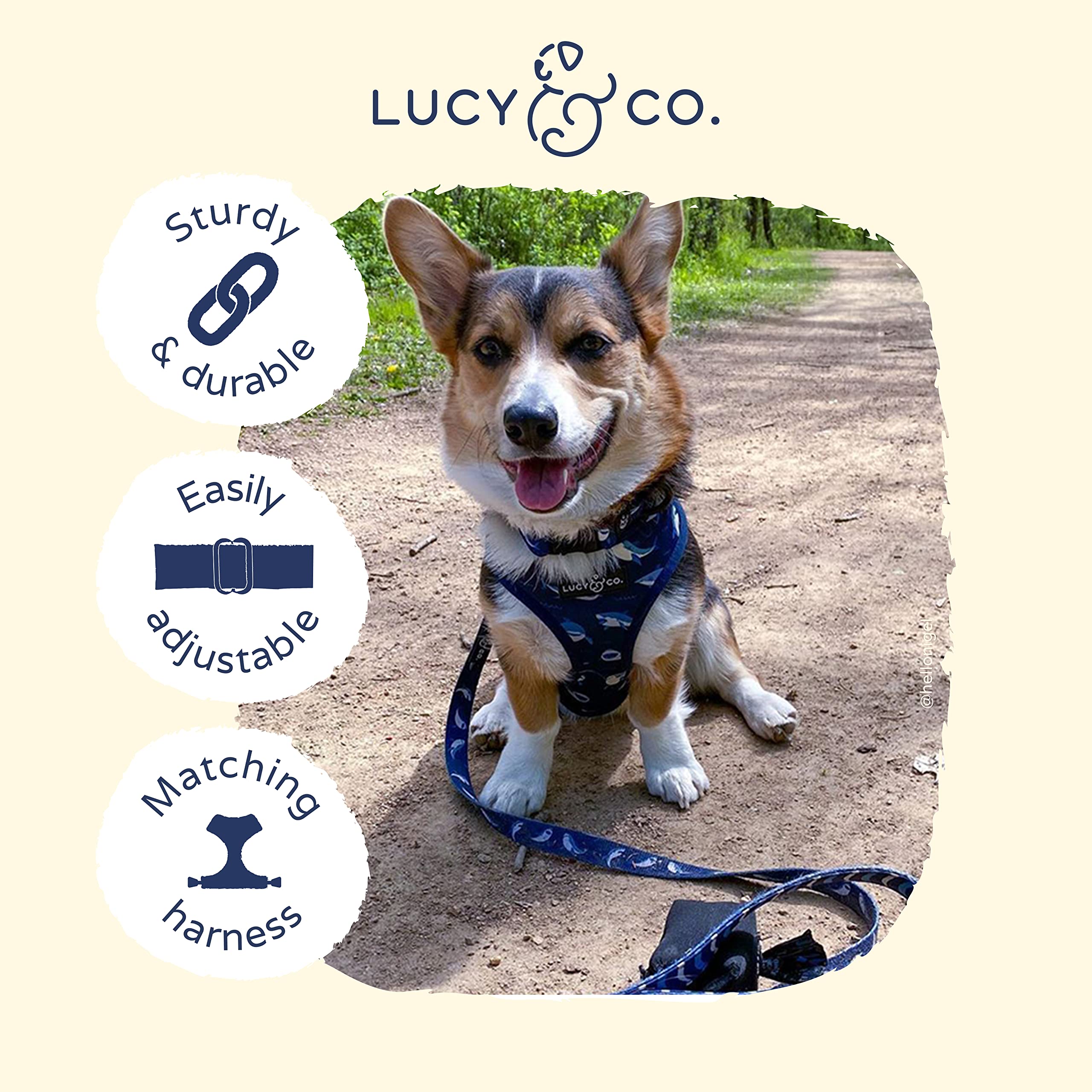 Lucy & Co. Shark Attack Dog Collar - Durable Lightweight Designer Collar For Pets - Adjustable Metal Safety Buckle - Navy White