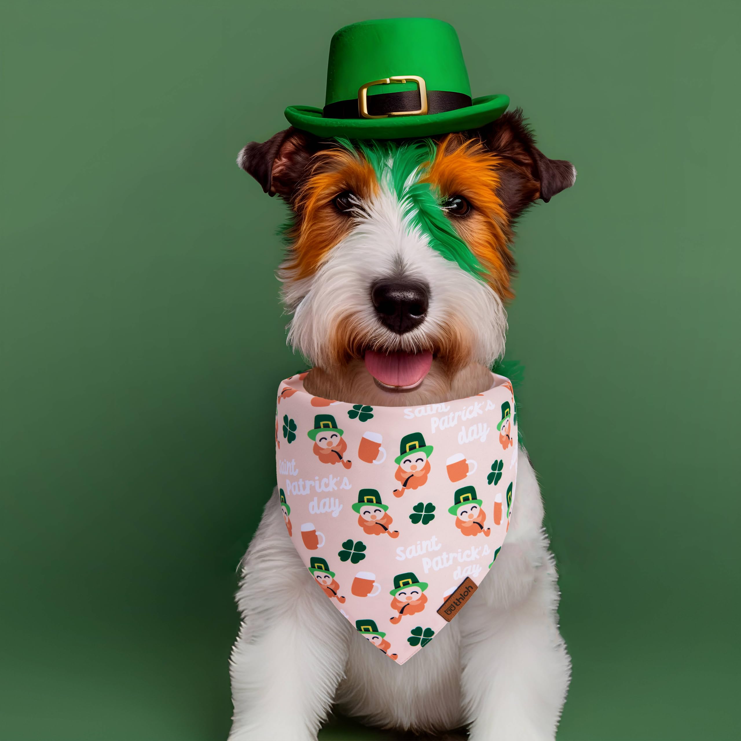 Thloh St. Patrick'S Day Dog Bandana - 2 Pack Triangle Shamrock Dog Bandanas For Boys & Girls, Reversible Leprechaun Pet Scarf, P