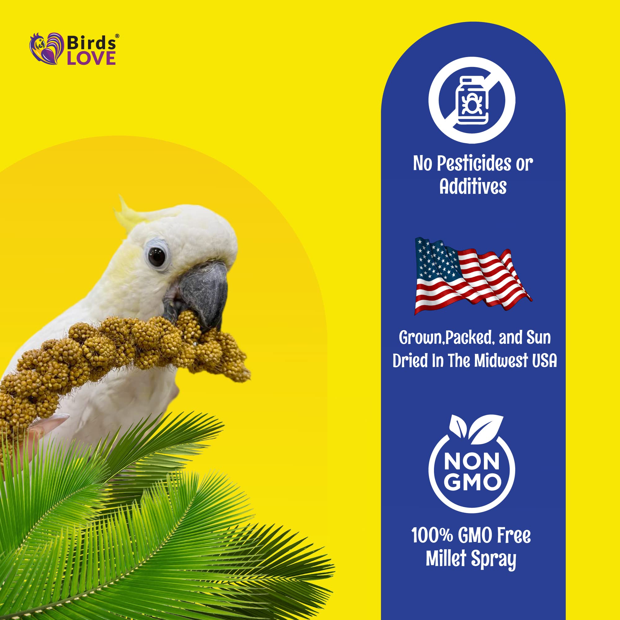 Birds LOVE Economy Special Spray Millet - GMO-Free (No Stems Only Edible Tops) for Birds Cockatiel, Lovebird, Parakeet, Finch, C