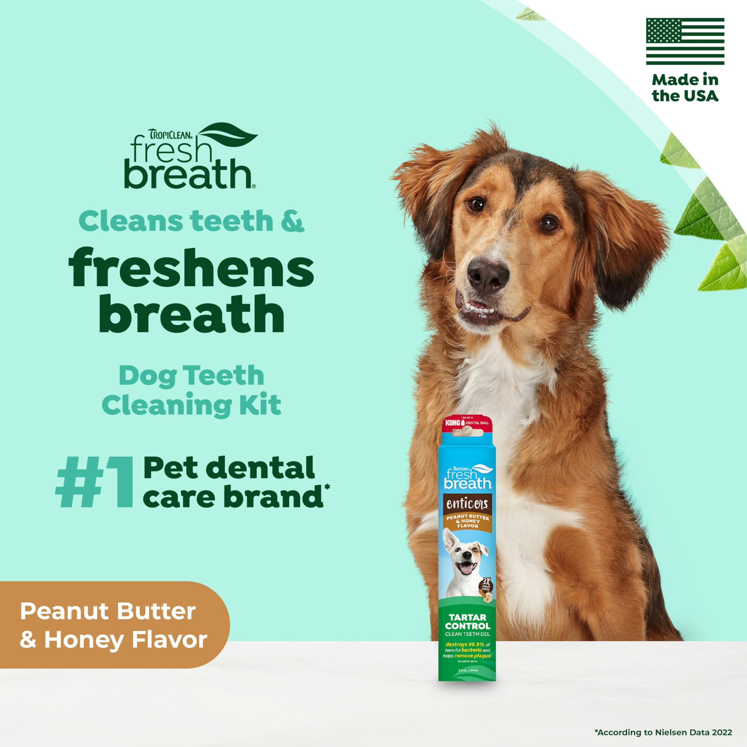 TropiClean Fresh Breath - Dog Toothpaste - Dog Teeth Cleaning Peanut Butter & Honey Flavor - Freshens Breath and Cleans Teeth -