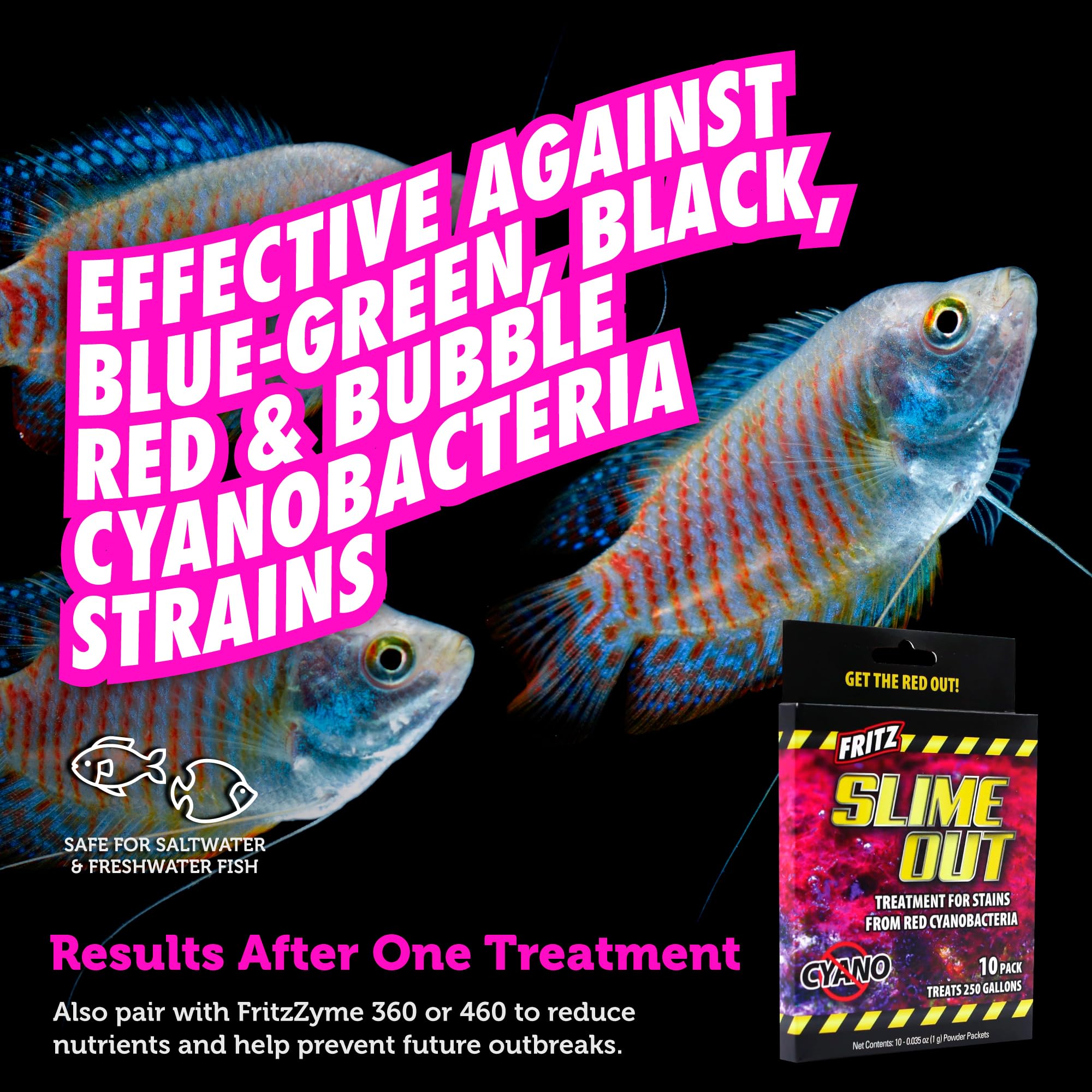 Fritz Aquatics Slime Out Treatment for Stains from Red Cyanobacteria in Fresh or Saltwater Aquariums (10-Count)