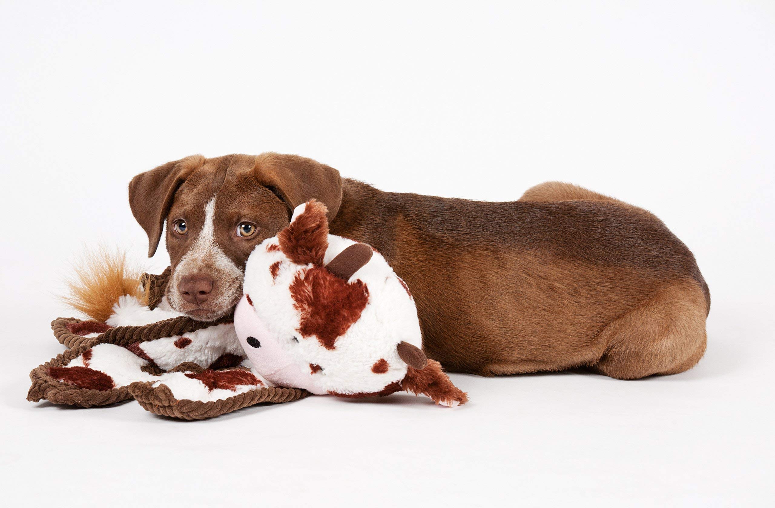 Charming Pet Cuddle Tugs Bunny Plush Squeaky Dog Toy