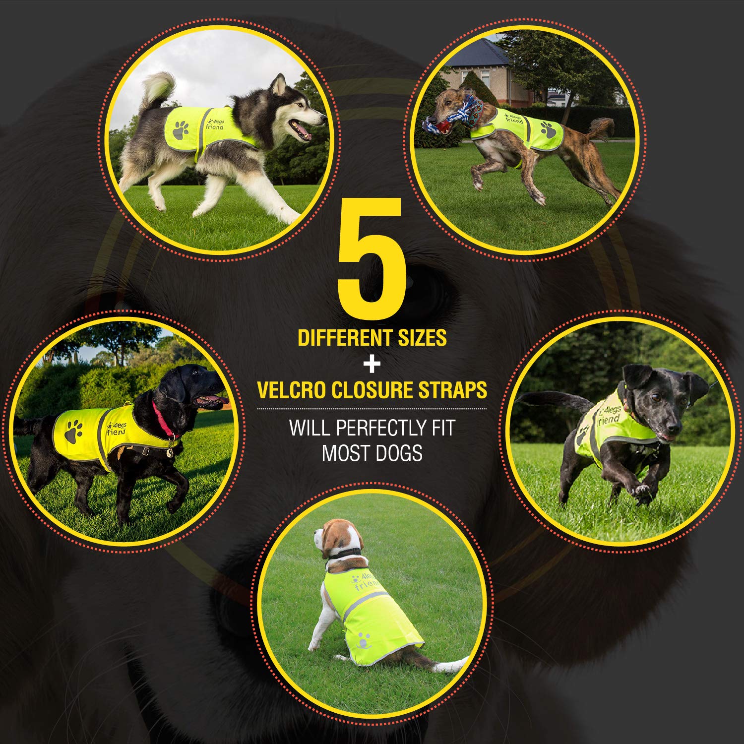 4LegsFriend Safety Reflective Vest for Dogs - High Visibility for Outdoor Activity Day and Night, Protect Your Pet from Cars & H