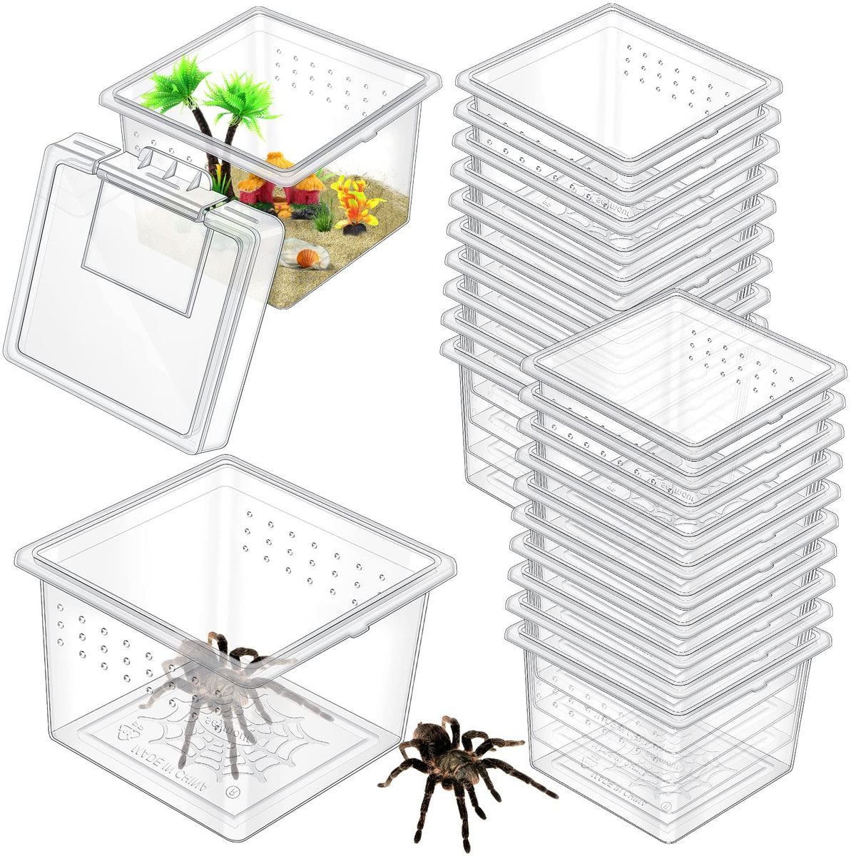 20 Pcs Insect Spider Terrariums Breeding Box Small Reptile Hatching ...