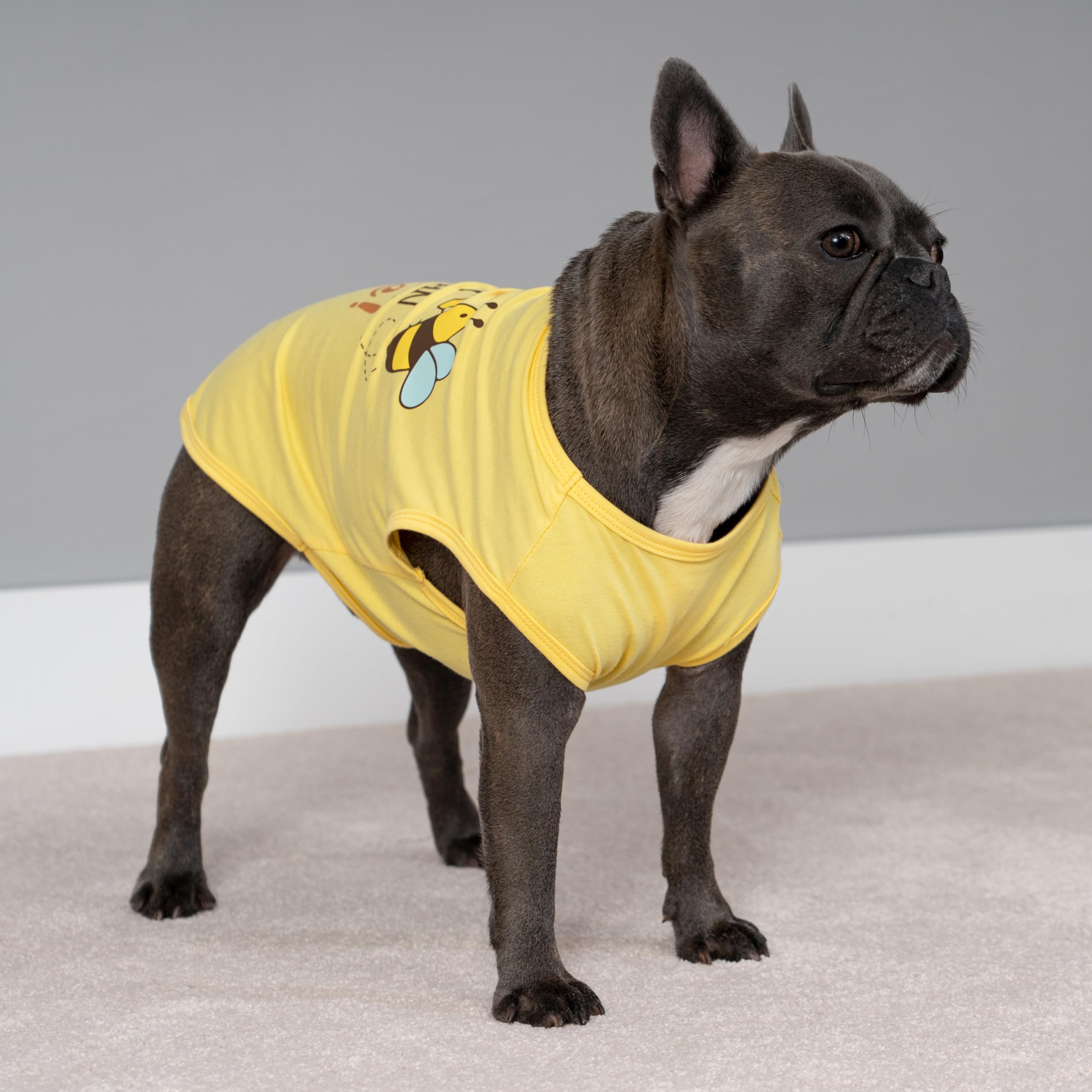 Fitwarm Bee The Best You Can Dog Shirt, Summer Clothes For Small Dogs Boy Girl, Funny Pet Outfit, Yellow, Brown, Blue, Xxl