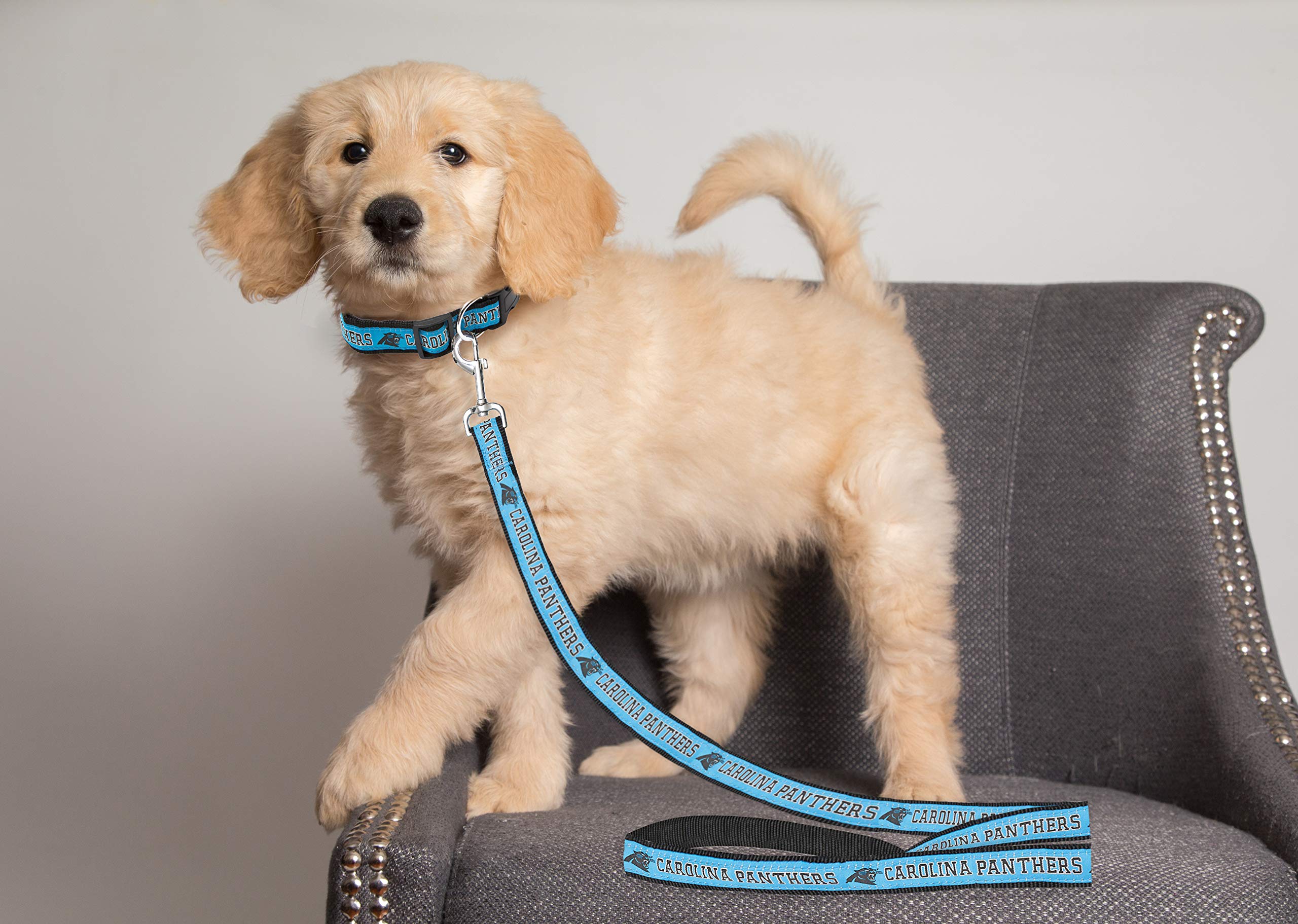 Nfl Pet Leash, Small, Carolina Panthers Dog Leash, Football Team Leash For Dogs & Cats. A Shiny & Colorful Dog & Cat Leash With
