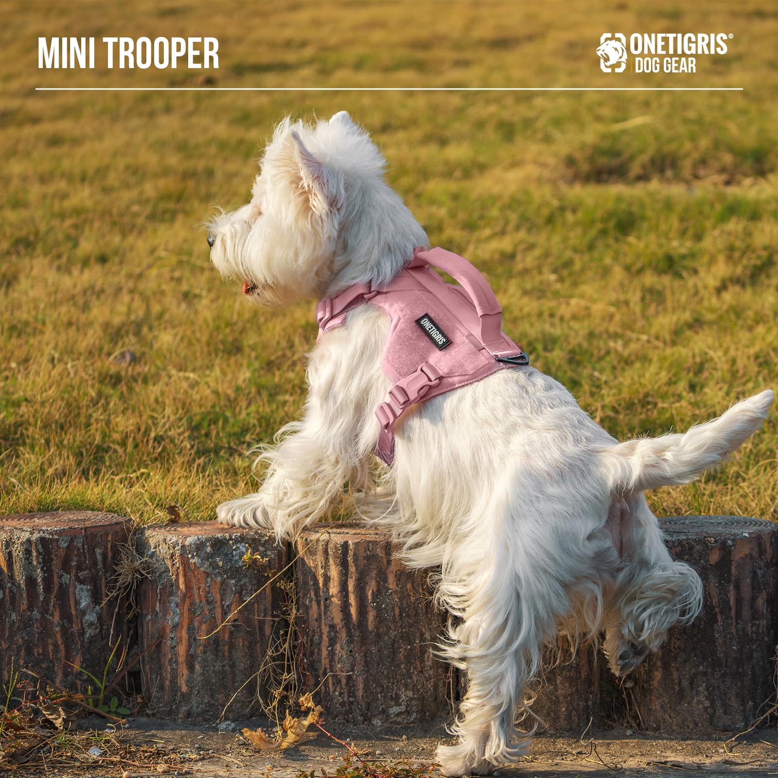 Onetigris Small Harness Dog Harness And Leash Set,Mini Trooper No Pull Dog Vest Fully Adjustable Harness For Puppy Dog And Cats,