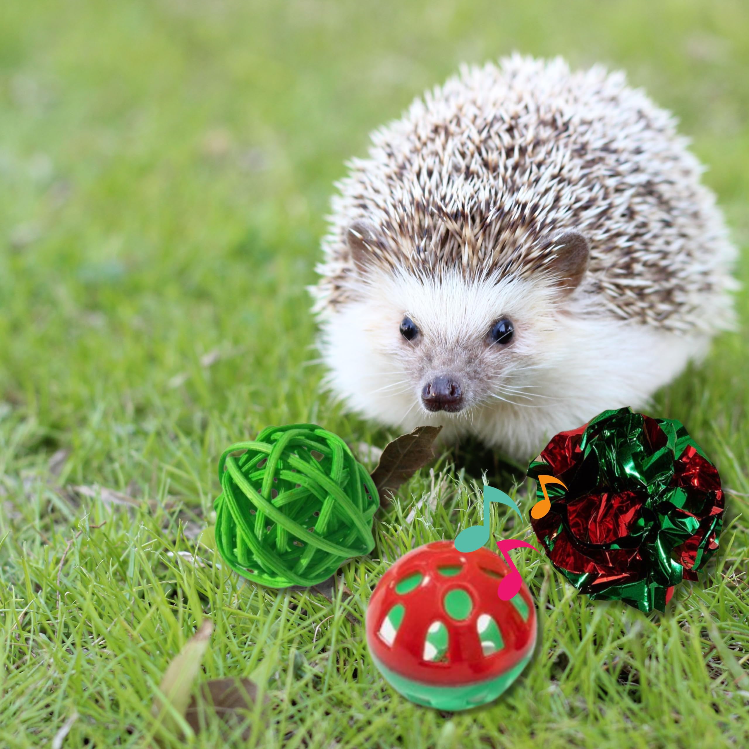 4 Pcs Toys For Hedgehogs Small Animal Accessories, Hedgehog Toys For Cage And Bell Ball, Hedgehog Enrichment Toy, Funny Balls To
