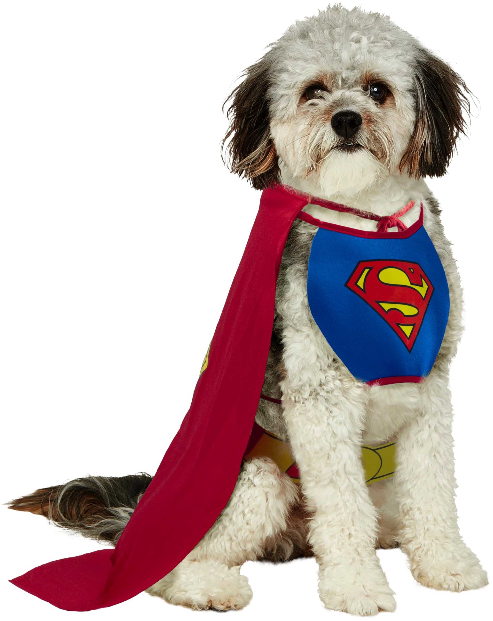 DC Comics Superheroes: Superman Pet Costume for For Dogs or Cats by Rubies, Small
