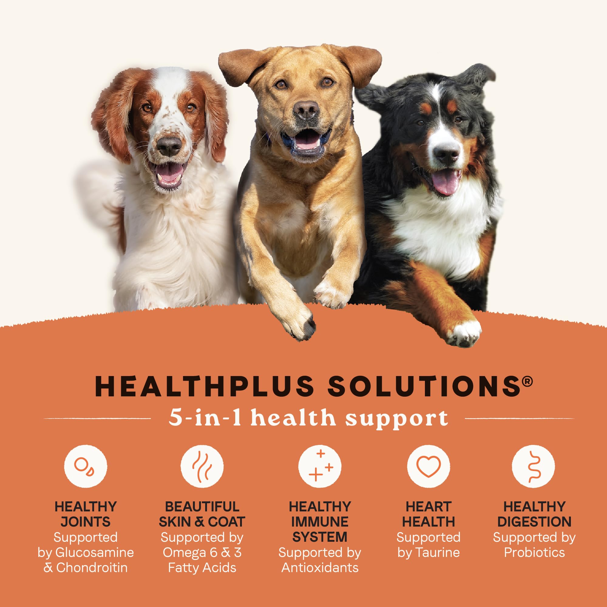 Canidae All Life Stages High Protein Multi-Protein Recipe with Chicken, Turkey, Lamb, and Fish - Premium Dry Dog Food for All Ag