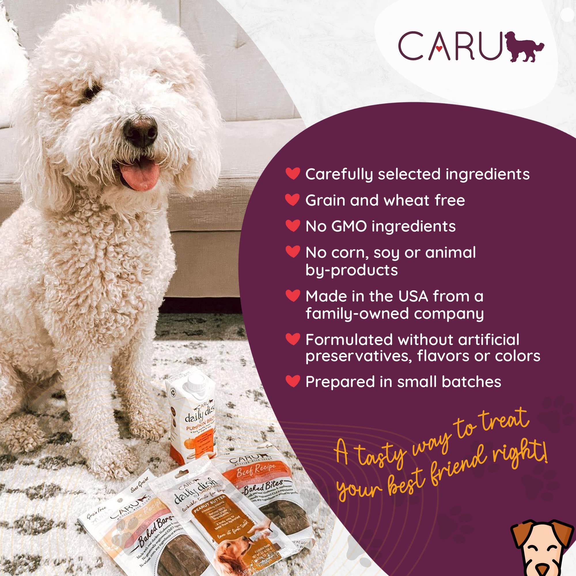 CARU - Soft n Tasty Baked Bites - Beef Bites Dog Treats - Flavorful Training Treats - 4 oz
