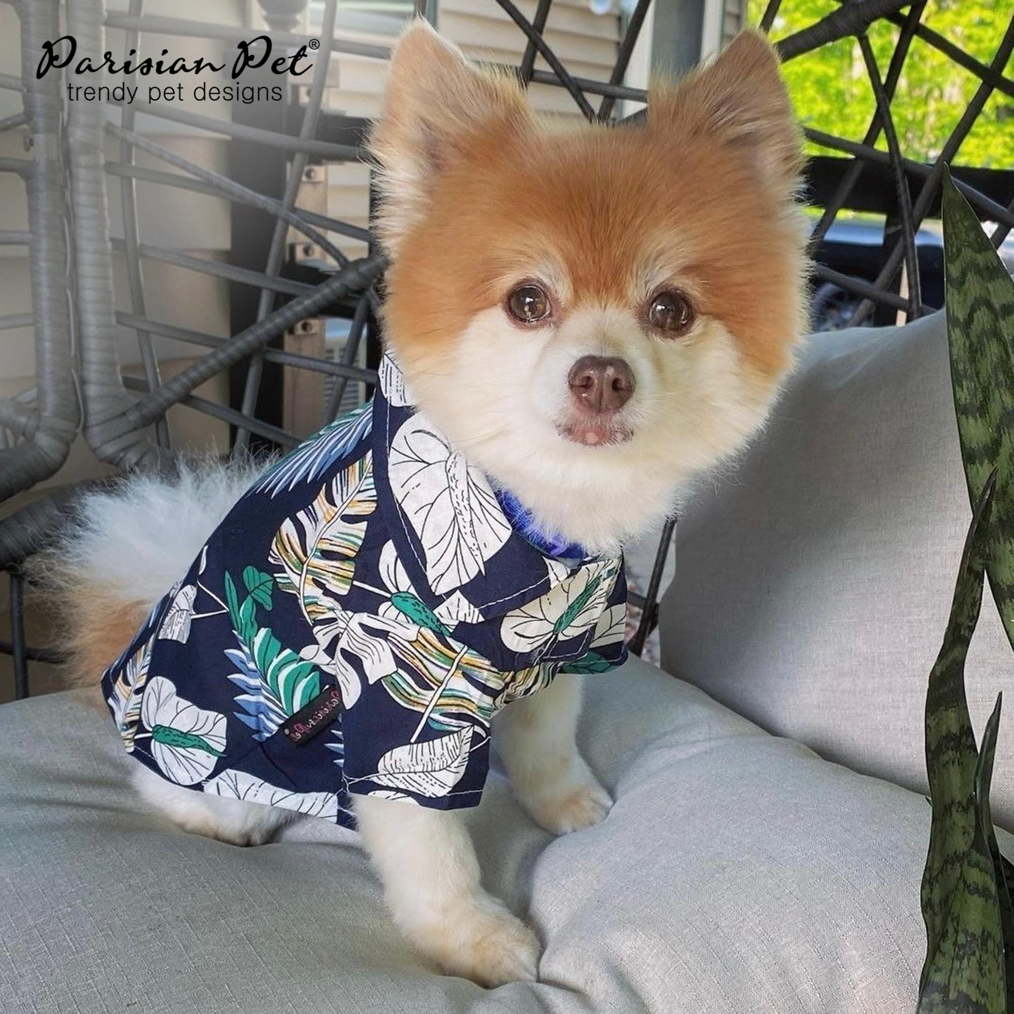 Parisian Pet Palm Leaves Dog Shirt - 100%Cotton Summer Clothes - Stylish Beach Outfit - Hook And Loop Closure - Machine Washable