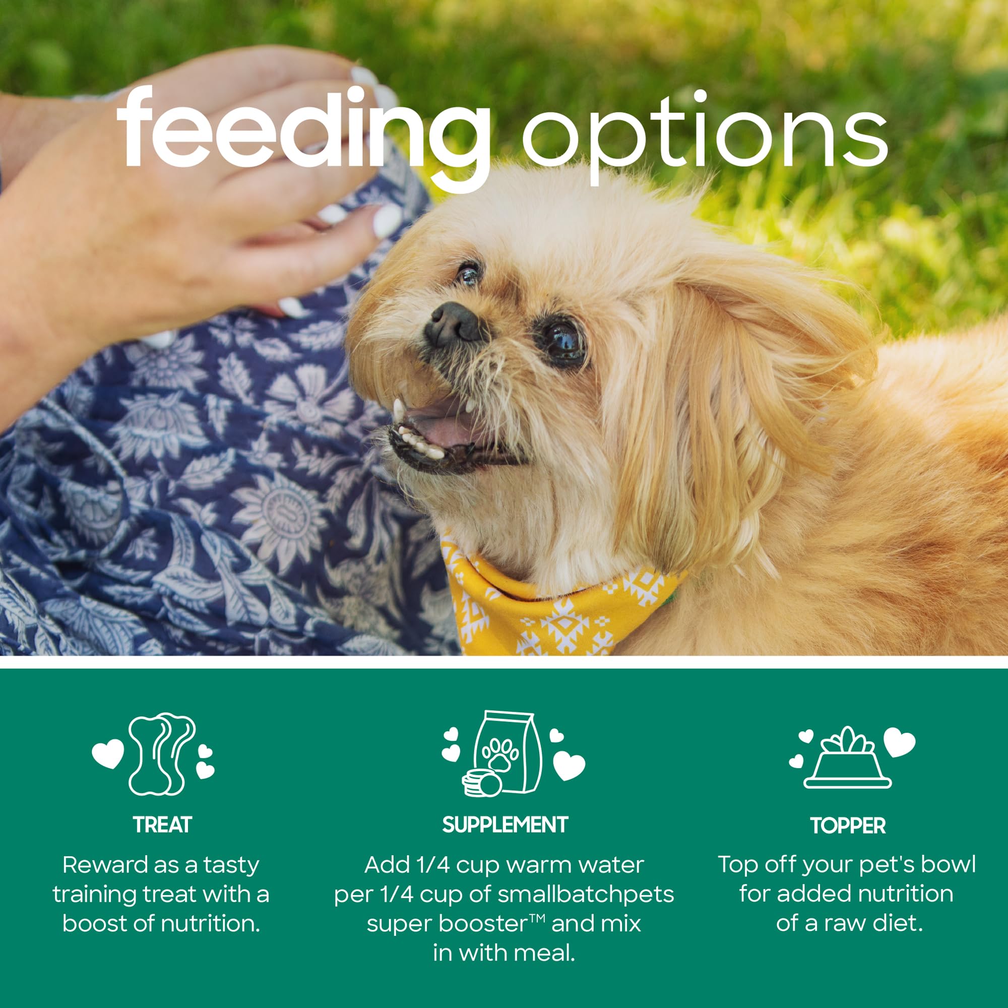 smallbatch Pets Freeze Dried Dog Treats & Cat Treats, 7 oz, Lamb Treat Bites, Probiotics, Organic Vegetables, Fruits, Digestive