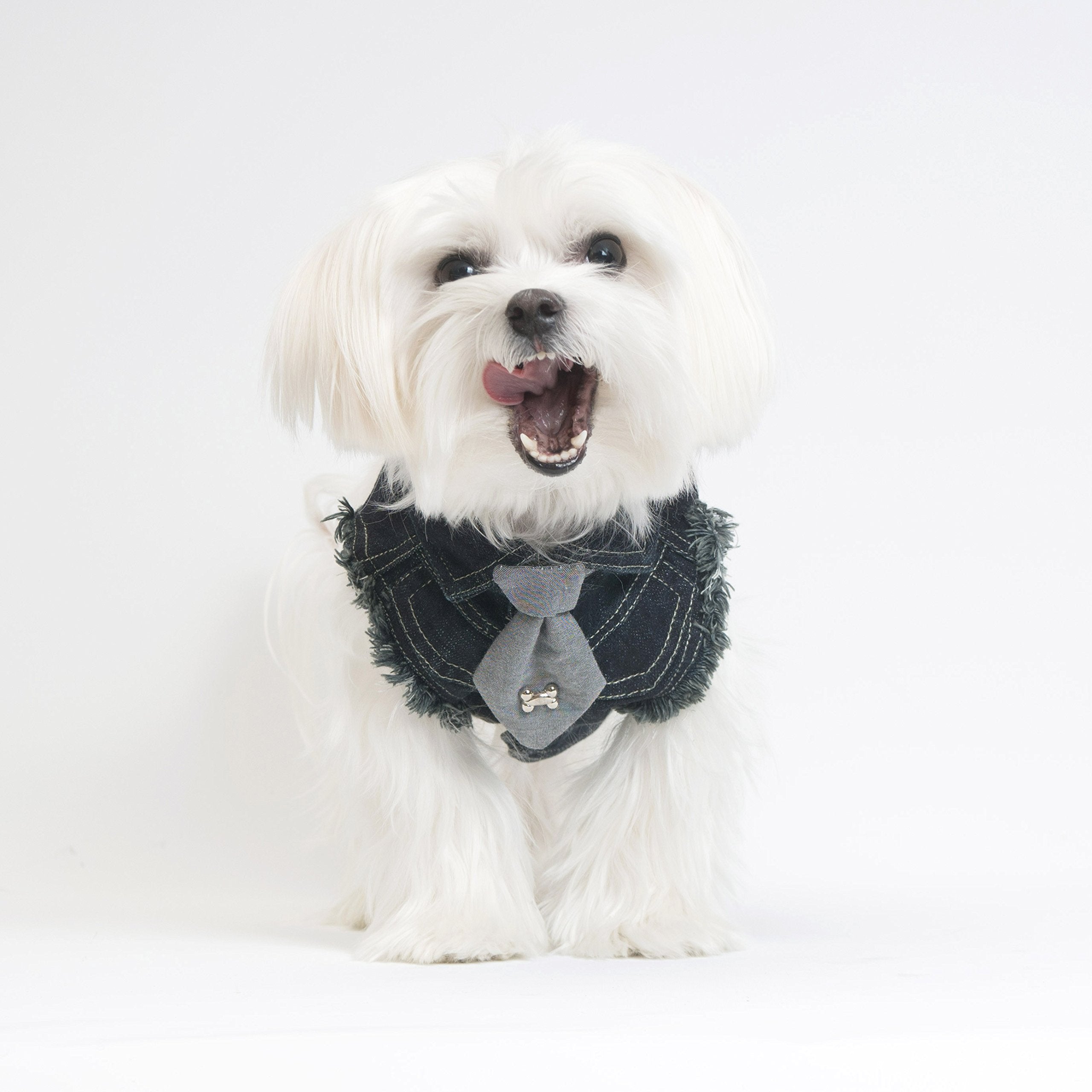 Fashion Jean Jacket For Dogs By United Pups (Chill Pups Navy Blue, Size 1)