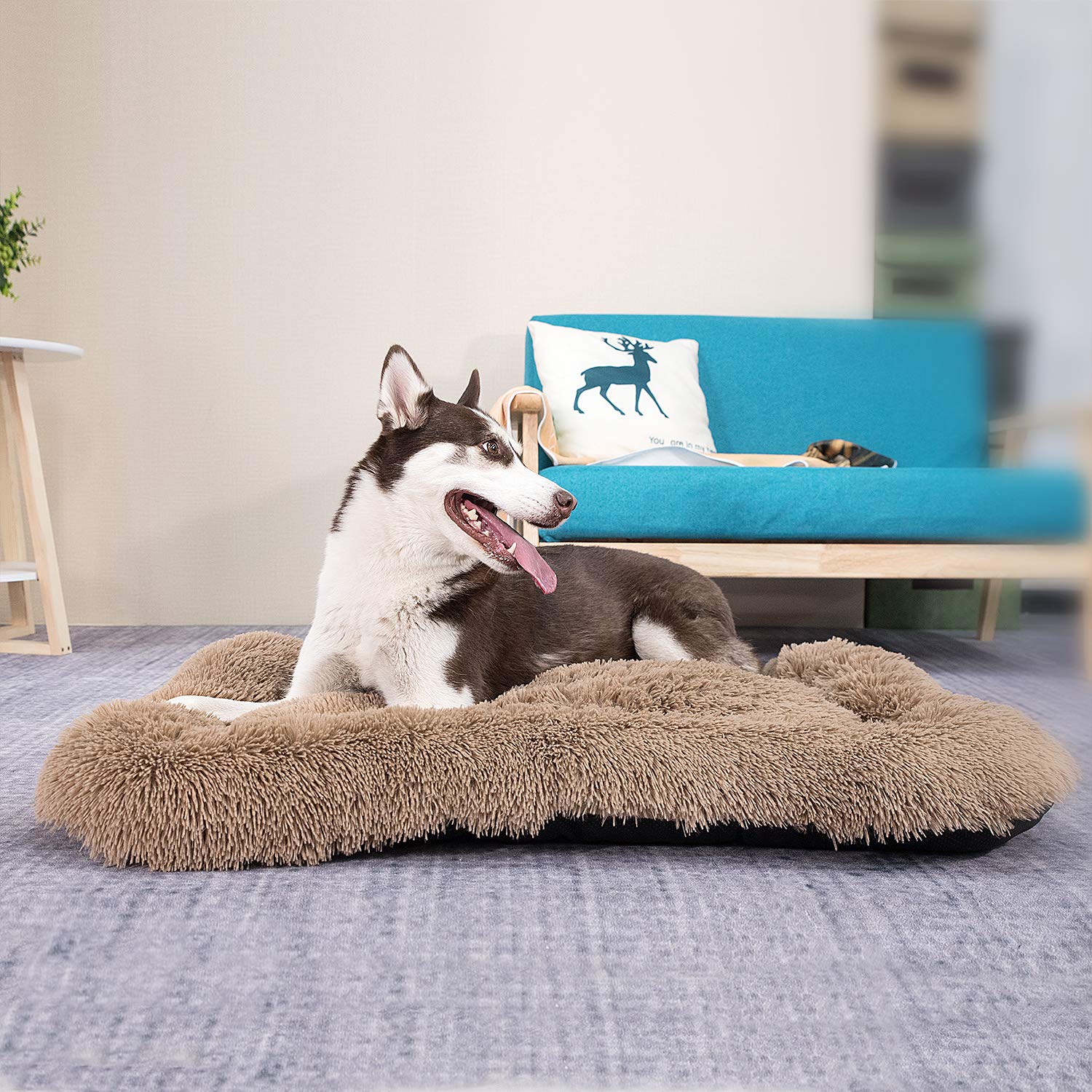Coohom Deluxe Plush Bed Pet Cushion Crate Mat,Fulffy Comfy Kennel Anti-Slip Washable Pad For Medium Large X-Large Dogs(X-Large,