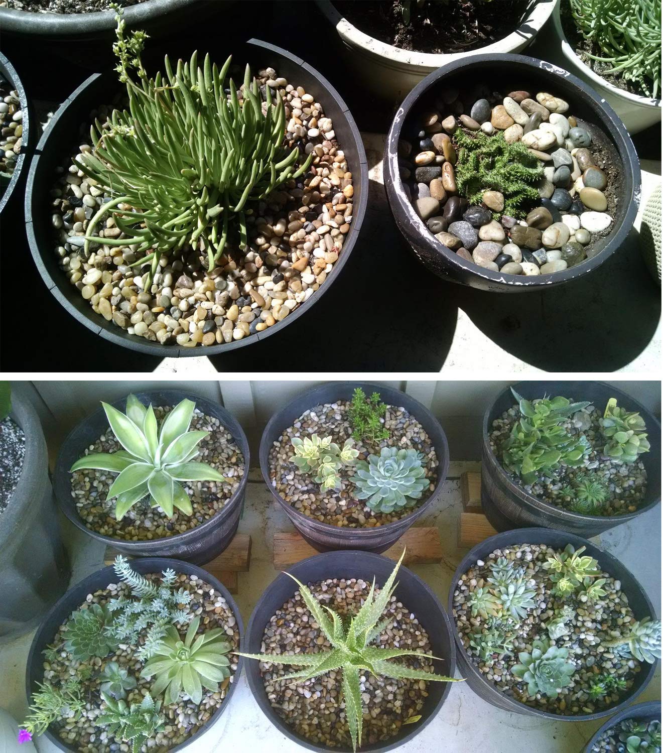 River Rock Stones, Natural Decorative Polished Mixed Pebbles Gravel,Outdoor Decorative Stones for Plant Aquariums, Landscaping,