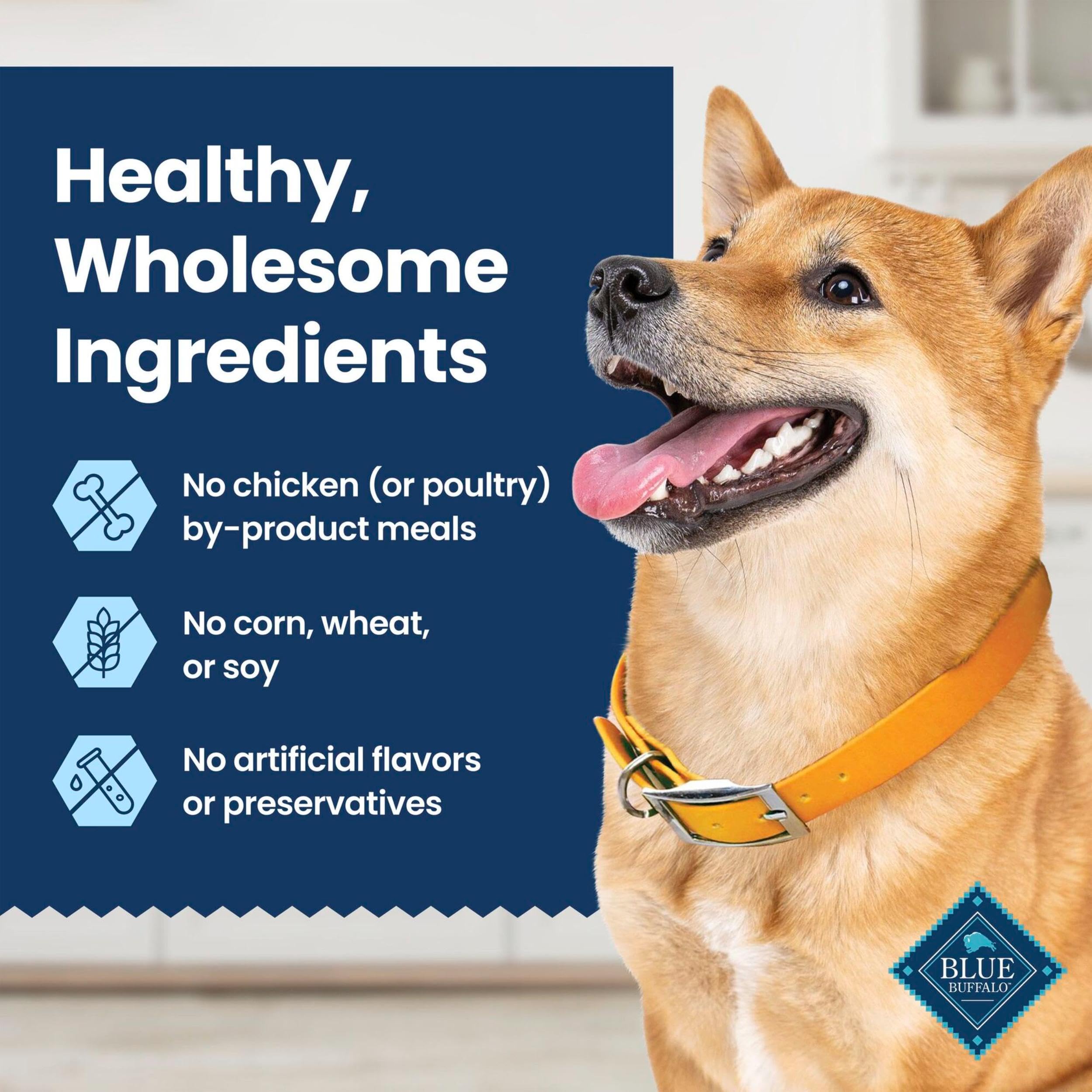 Blue Buffalo Medium Dental Chews for Dogs, Daily Dental Care Dog Treats Made in the USA with Natural Ingredients, Chicken & Spea