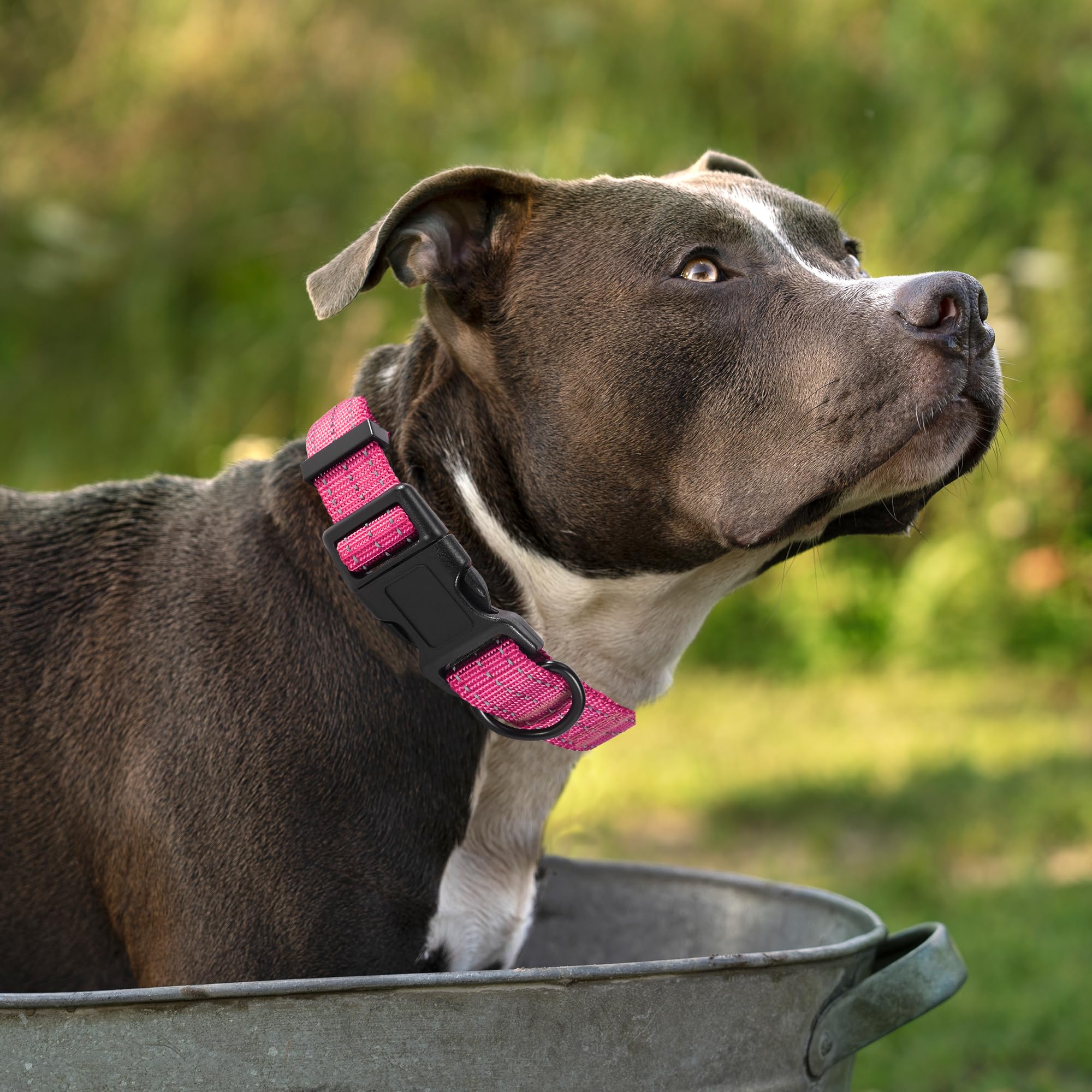 Mile High Life Dog Collar | Nylon Reflective Dog Collars | Light Weight Puppy Collars | Pink Dog Collars For Small Dogs (Solid P