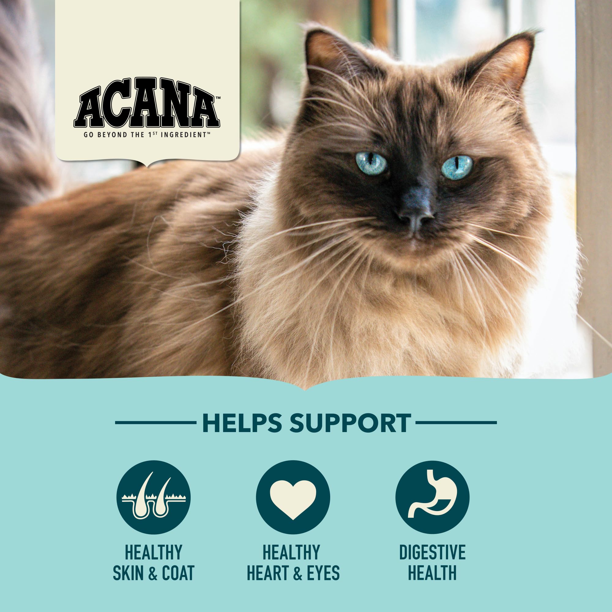 ACANA Bountiful Catch Dry Cat Food for Adult Cats, Salmon and Whole Herring Recipe, Fish Cat Food, 10lb